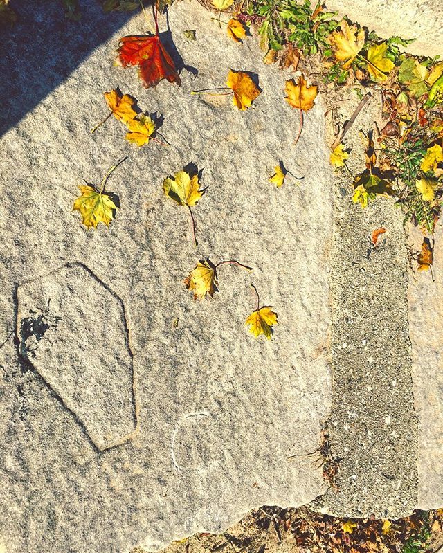 Walk, run, stomp on by. 
Etched in stone this tomb does lie. 
Leaves gather. Weeds cry.