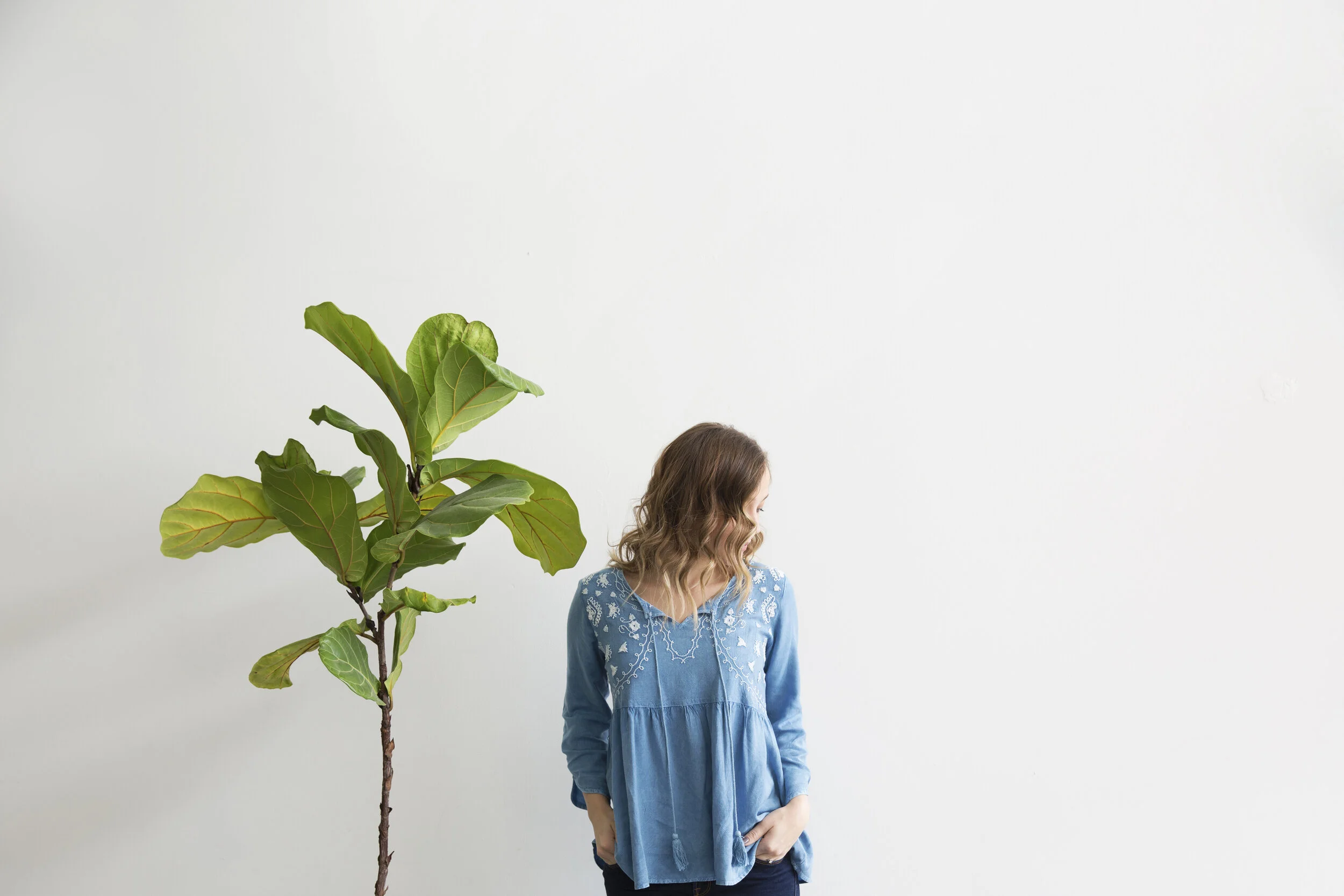 The Barren Fig Tree