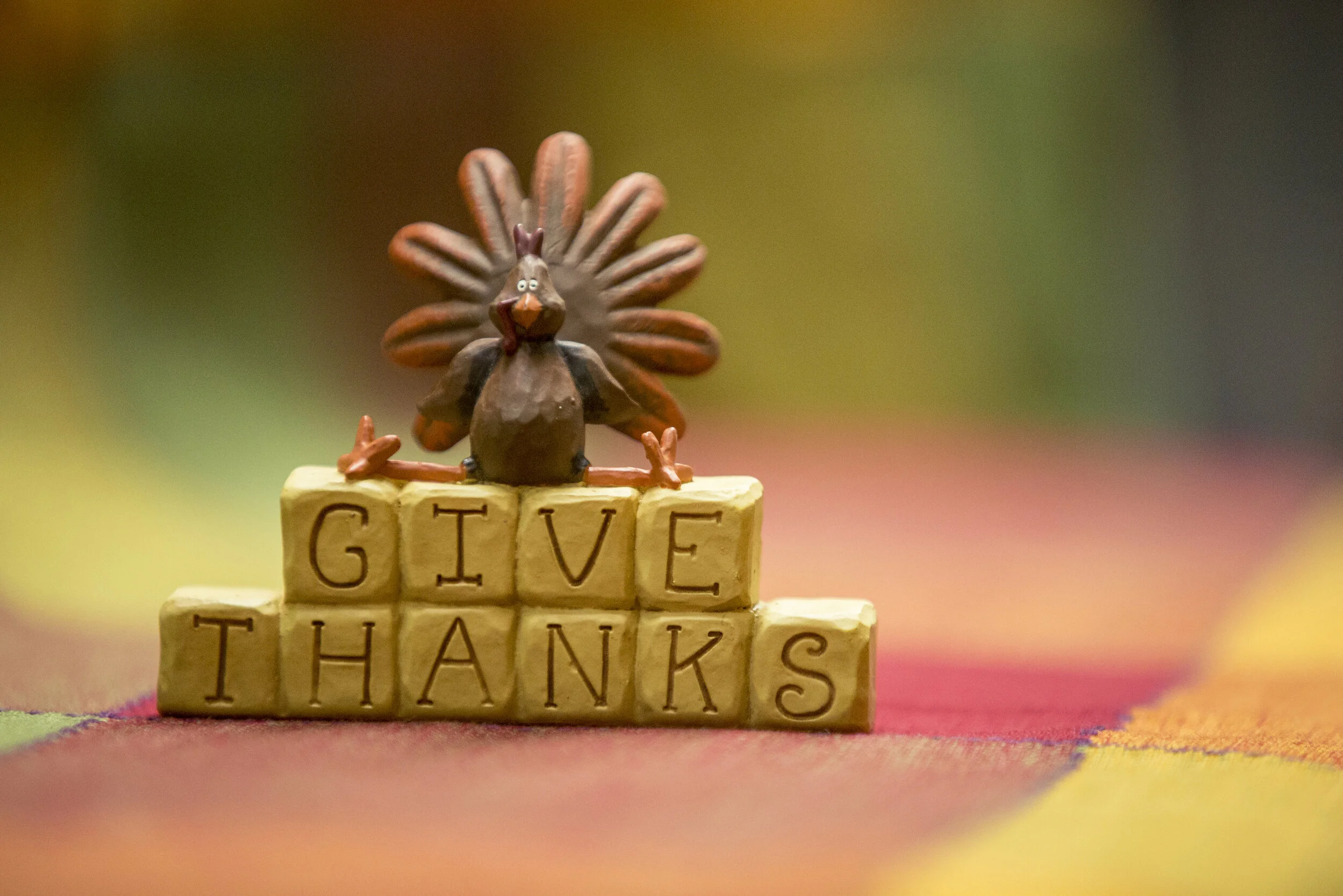 The Thanksgiving Banner