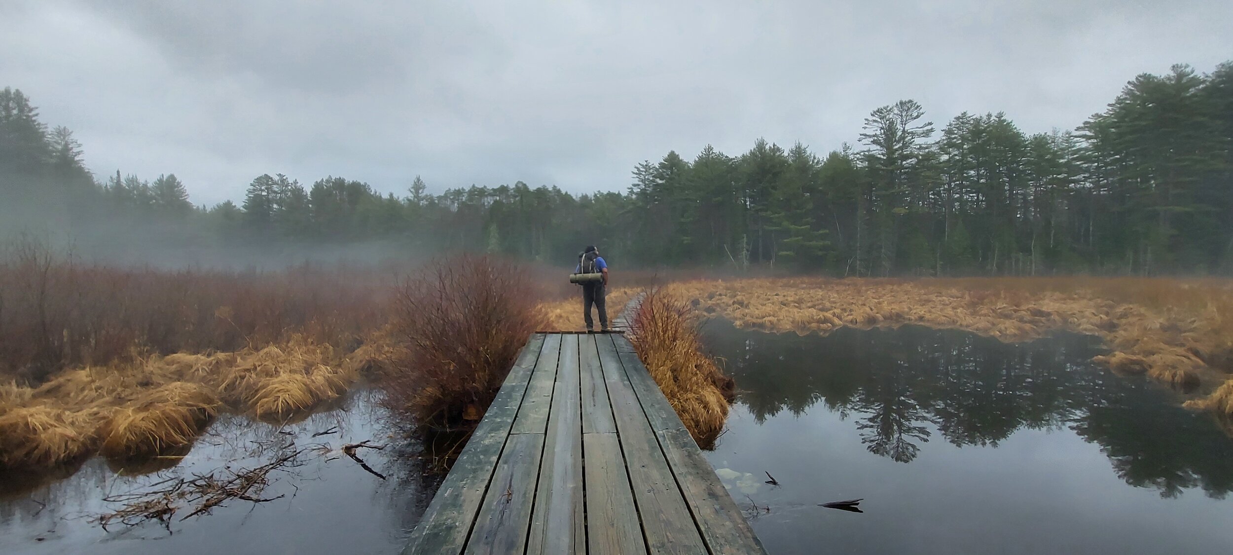 Fifteenth Sunday After Trinity