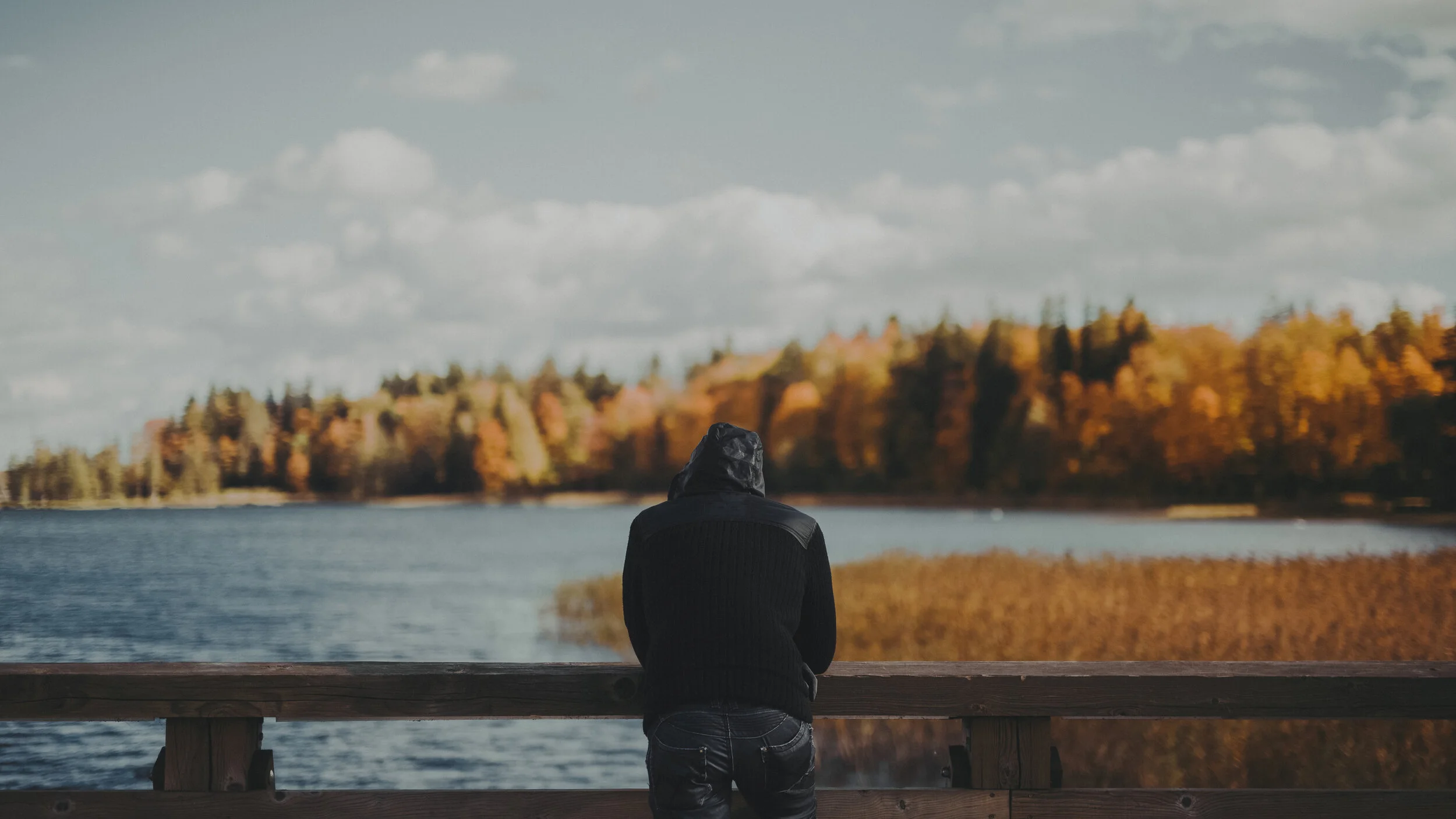 Seventeenth Sunday After Trinity