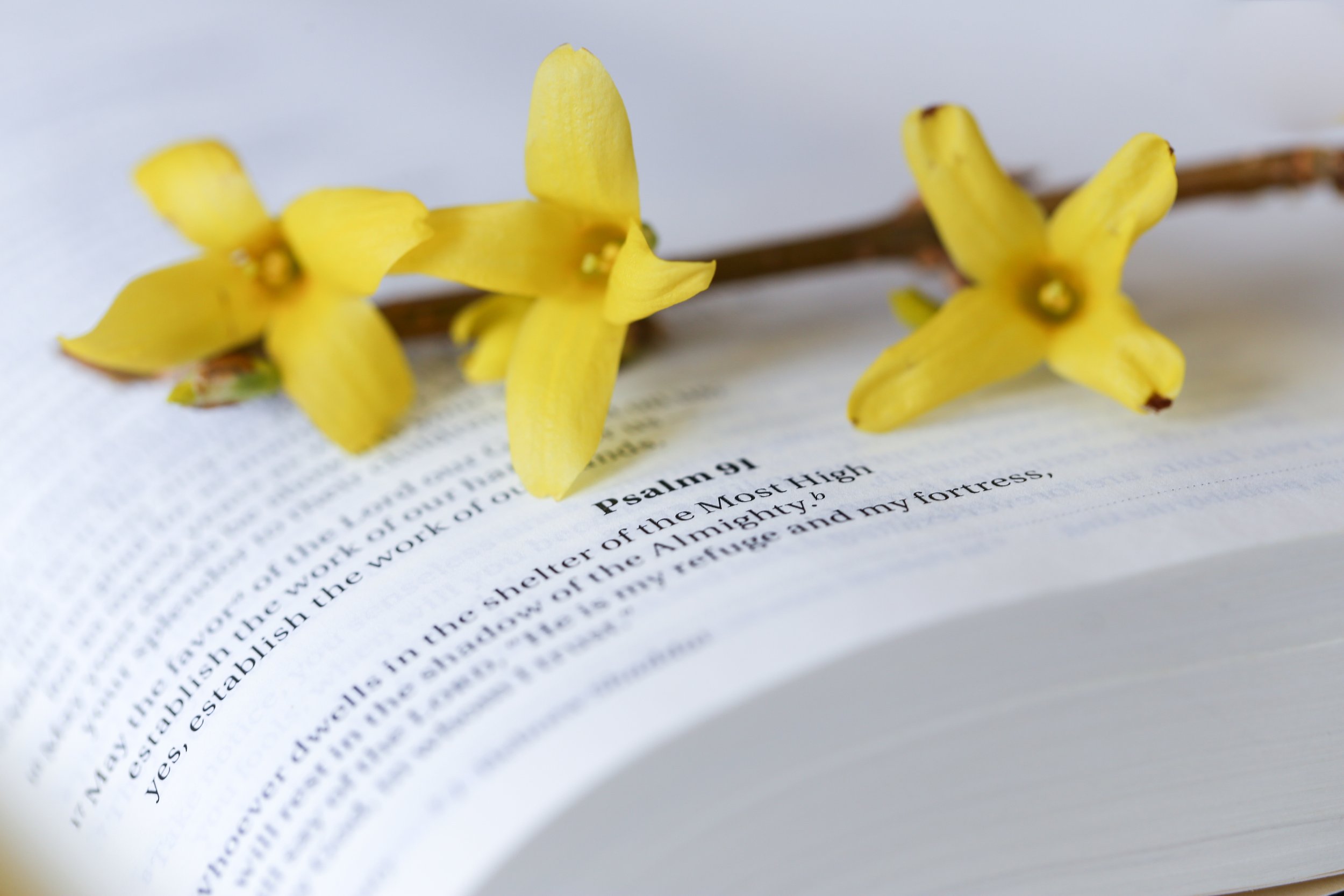 Second Sunday After Easter