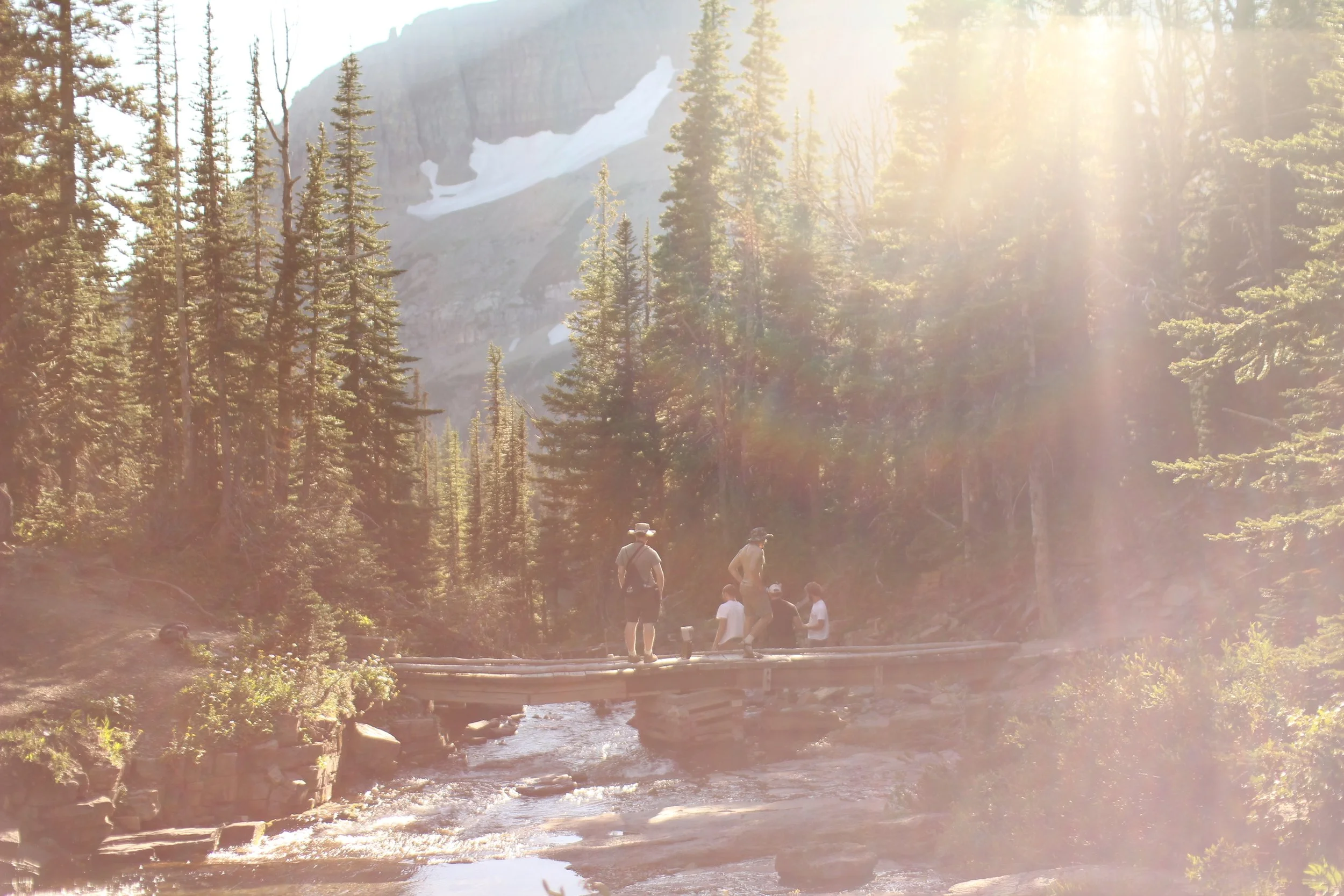 Fifth Sunday After Trinity