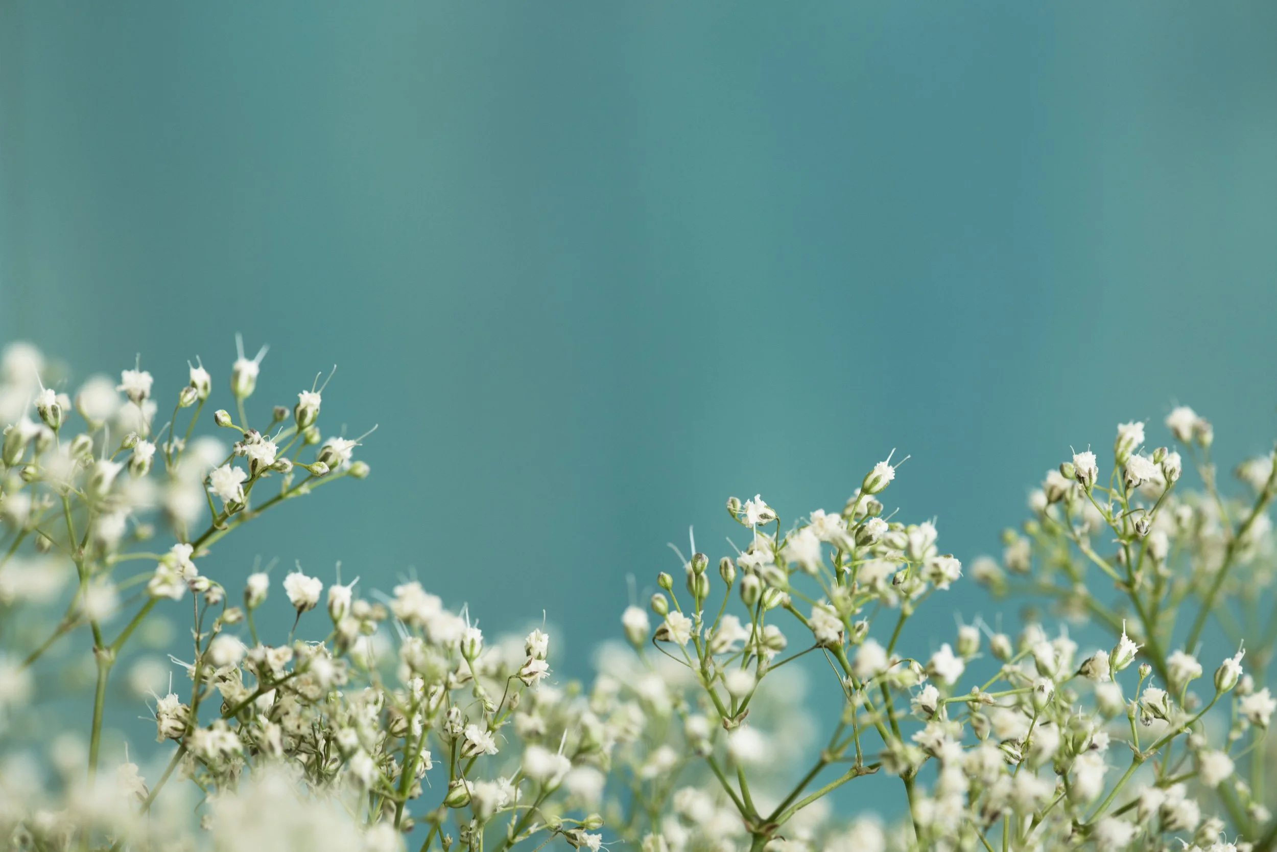 lightstock_336648_medium_christopher.jpg