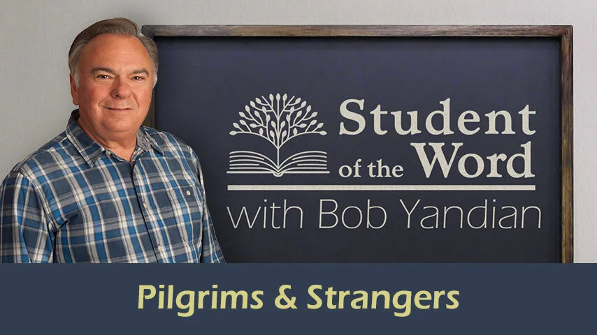 Pilgrims and Strangers: Living in a World That Thinks You Are The Problem