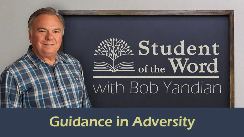 Guidance In Adversity