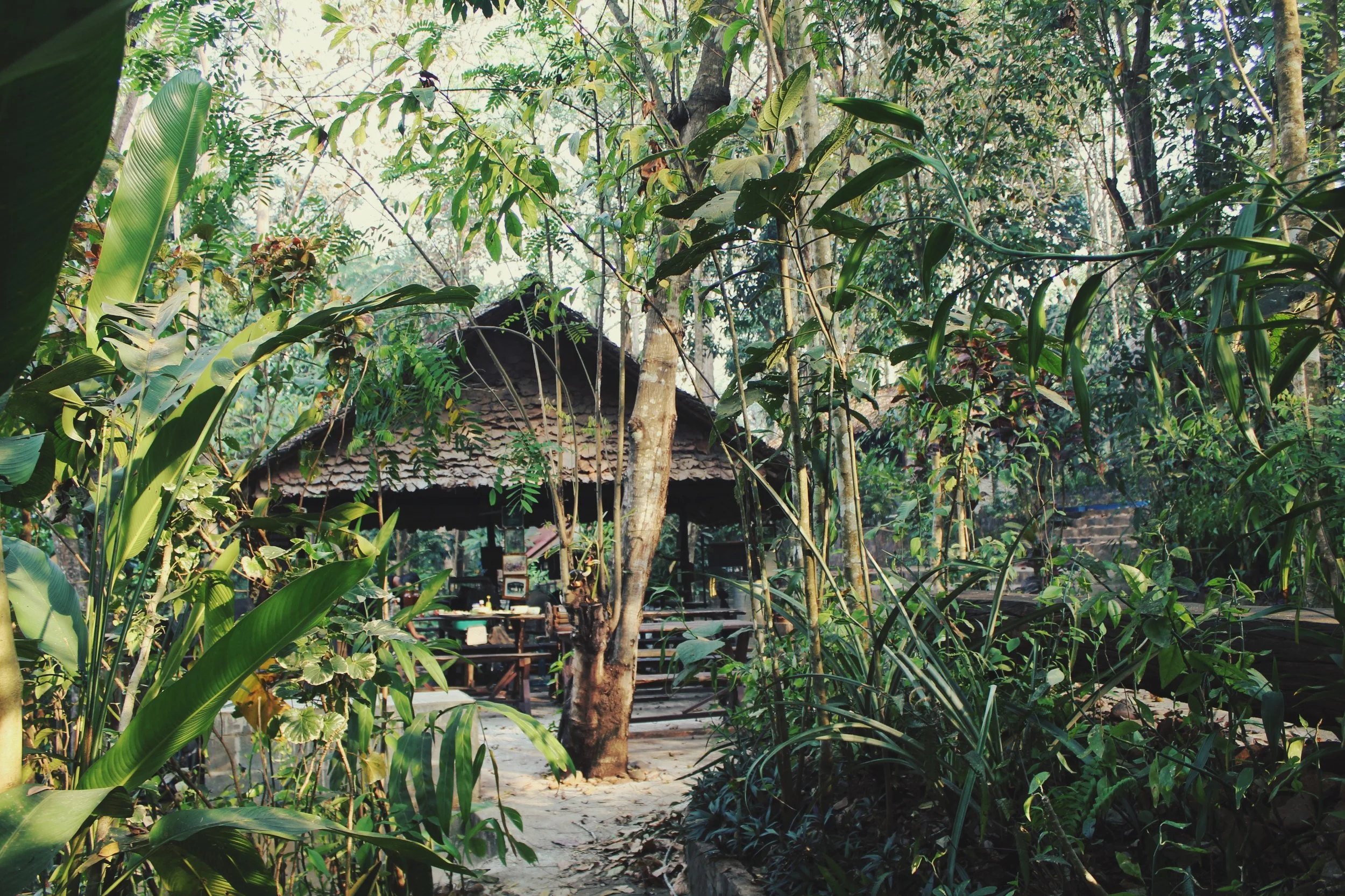 Welcome to the Jungle!