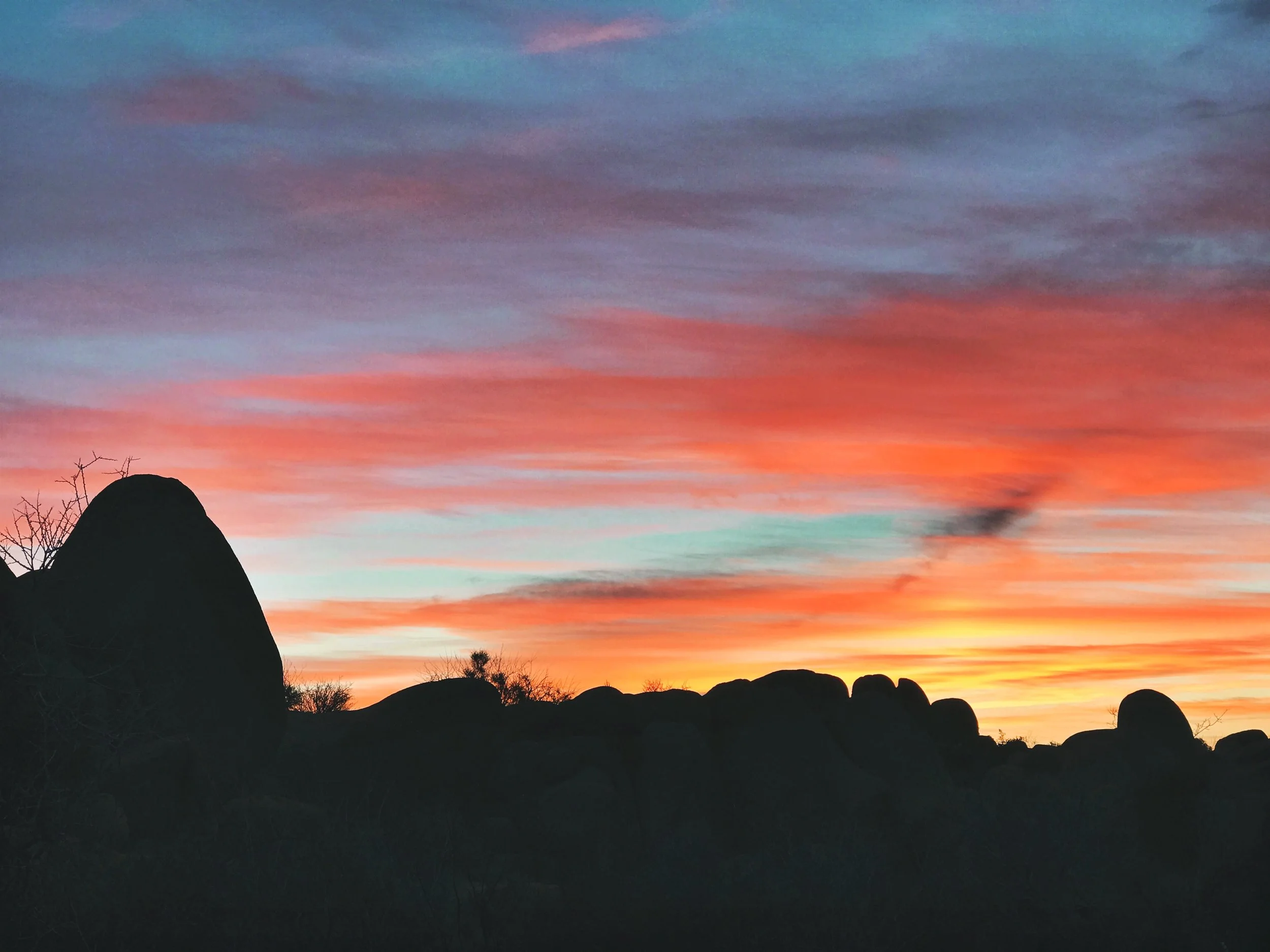Jumbo Rocks, CA