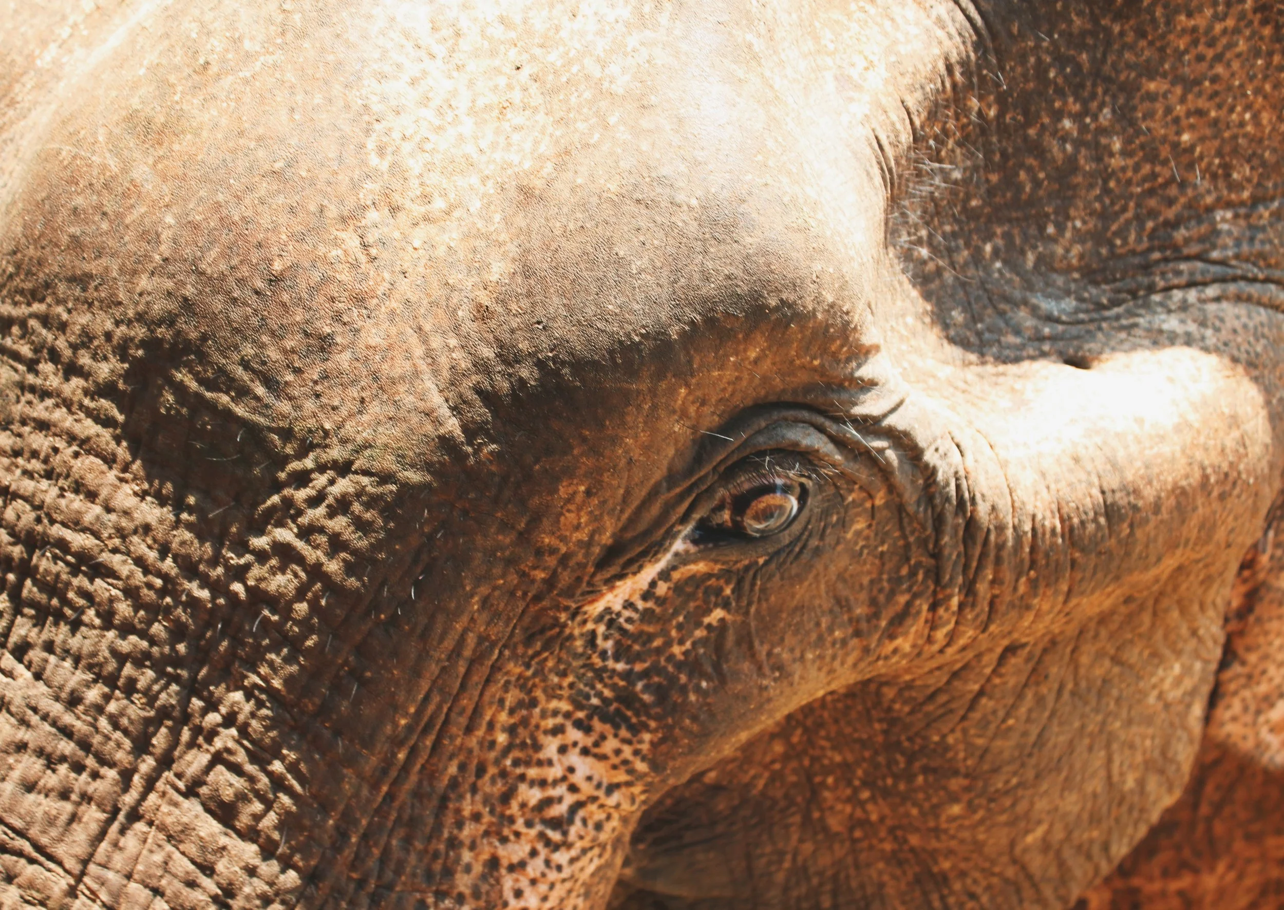 Chiang Mai, Thailand