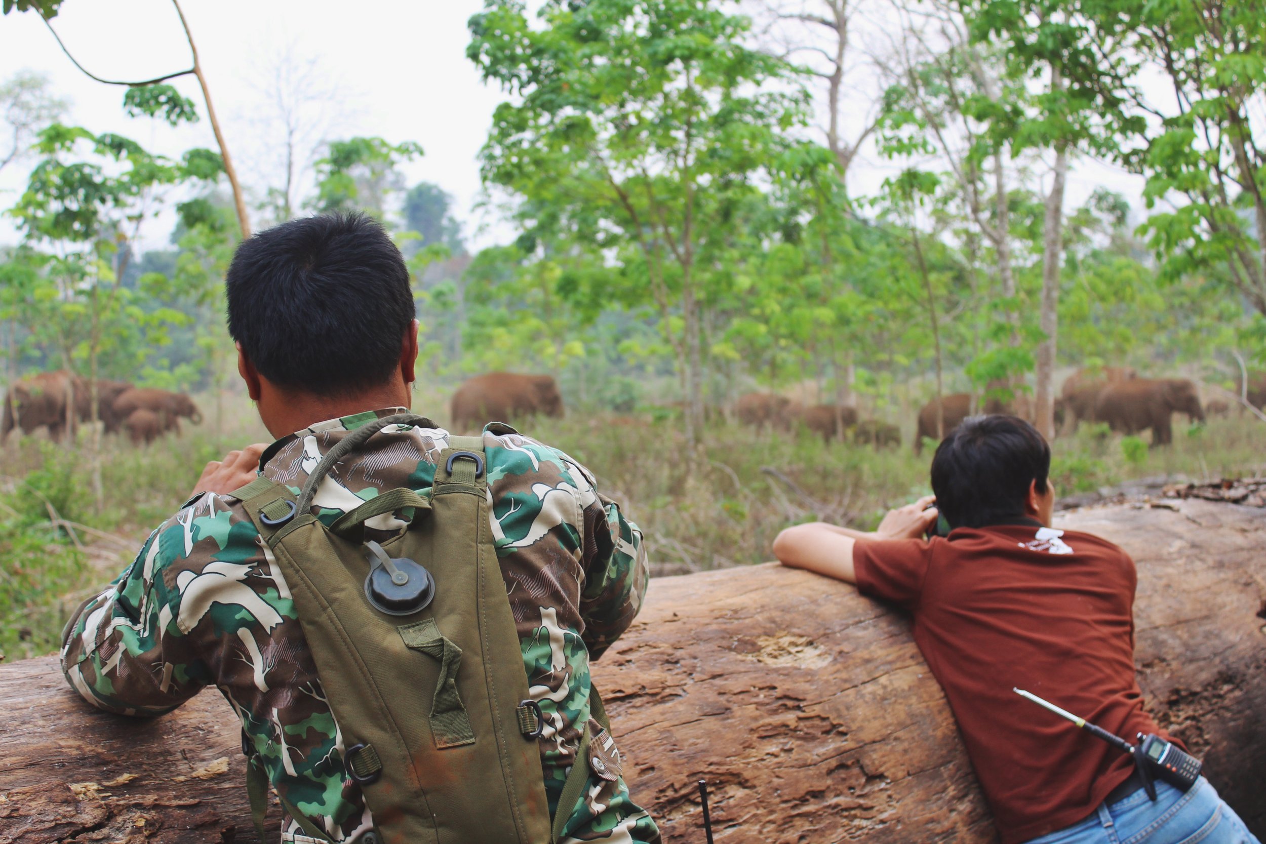 Thong Pha Phum, Thailand