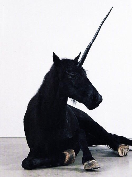 New Moon