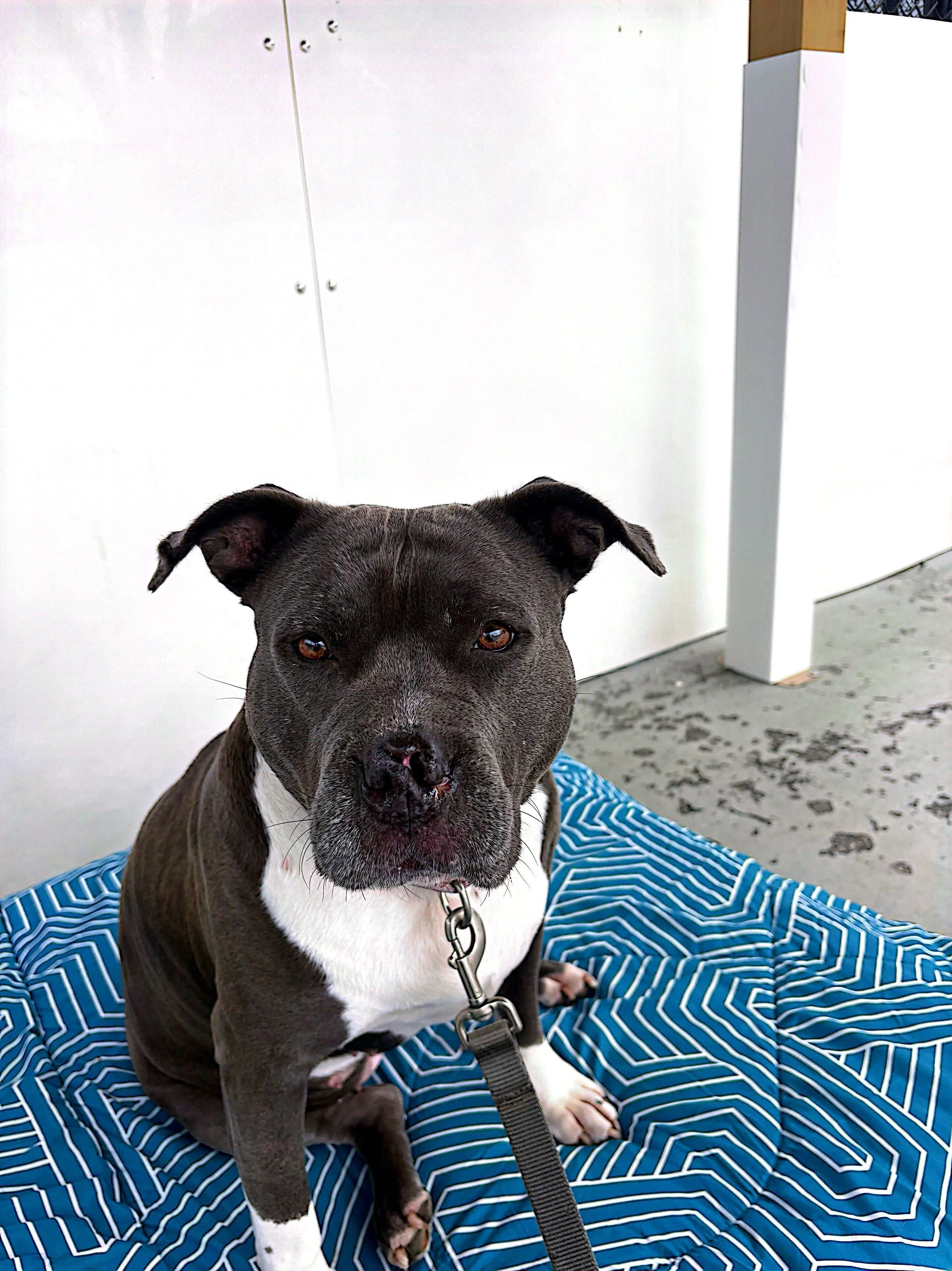 CamScanner 1-14-26 17.06_2.jpg