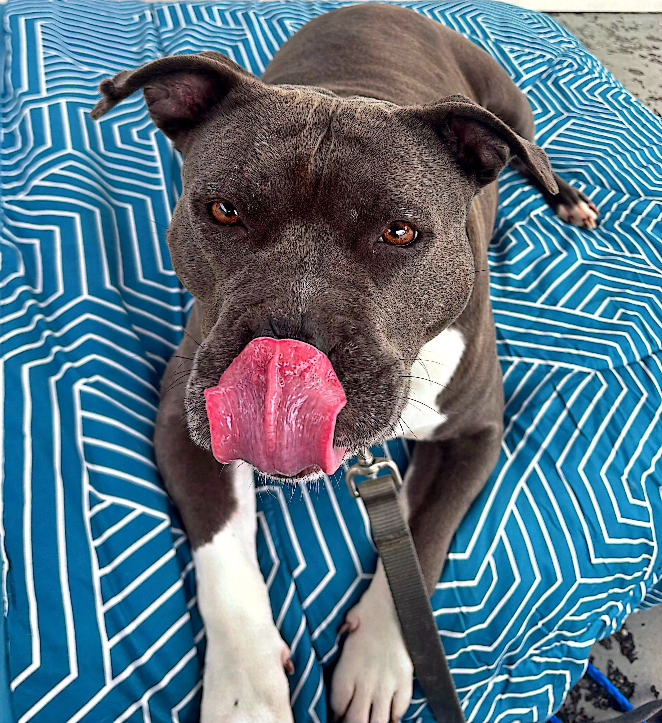 CamScanner 1-14-26 17.06_1.jpg