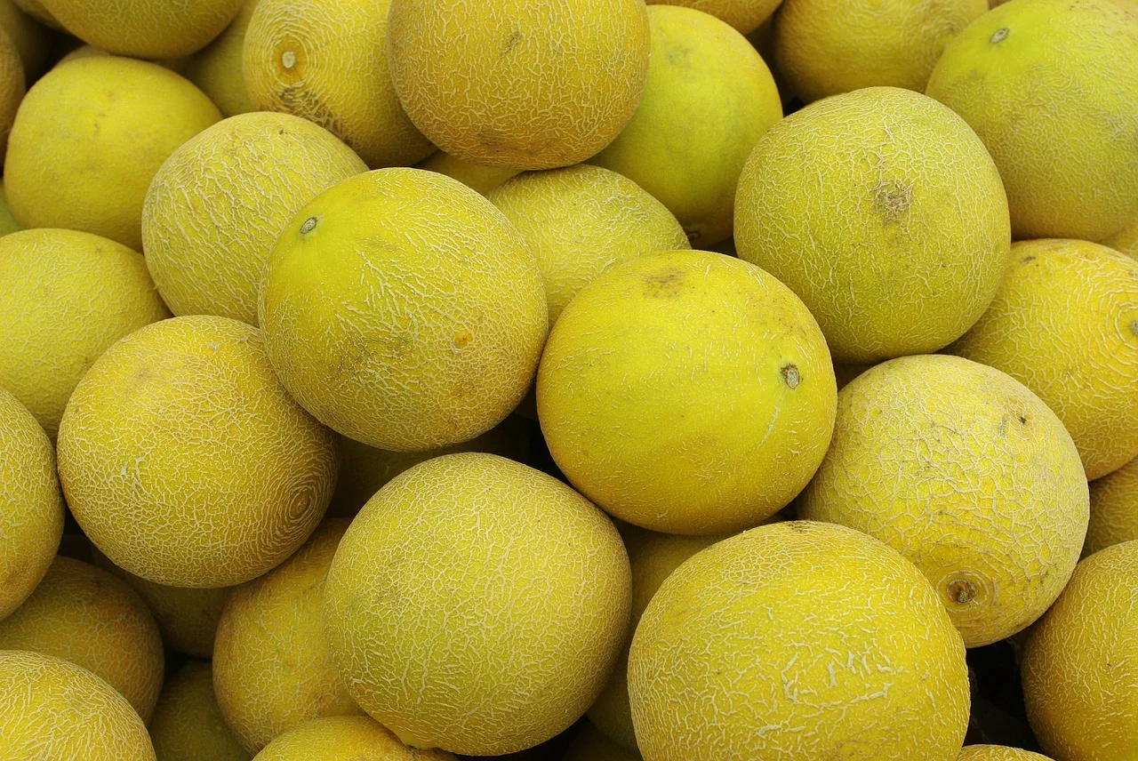 Your baby is the size of a cantaloupe melon this week 