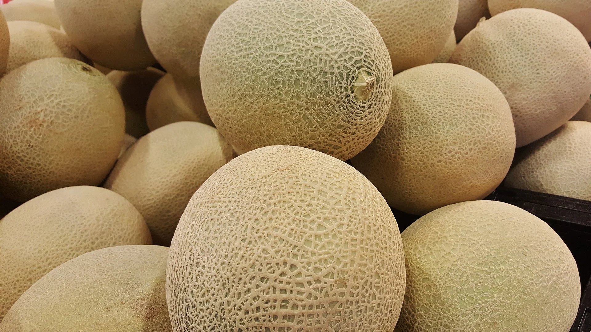 This week your baby is the size of a Cantaloupe 