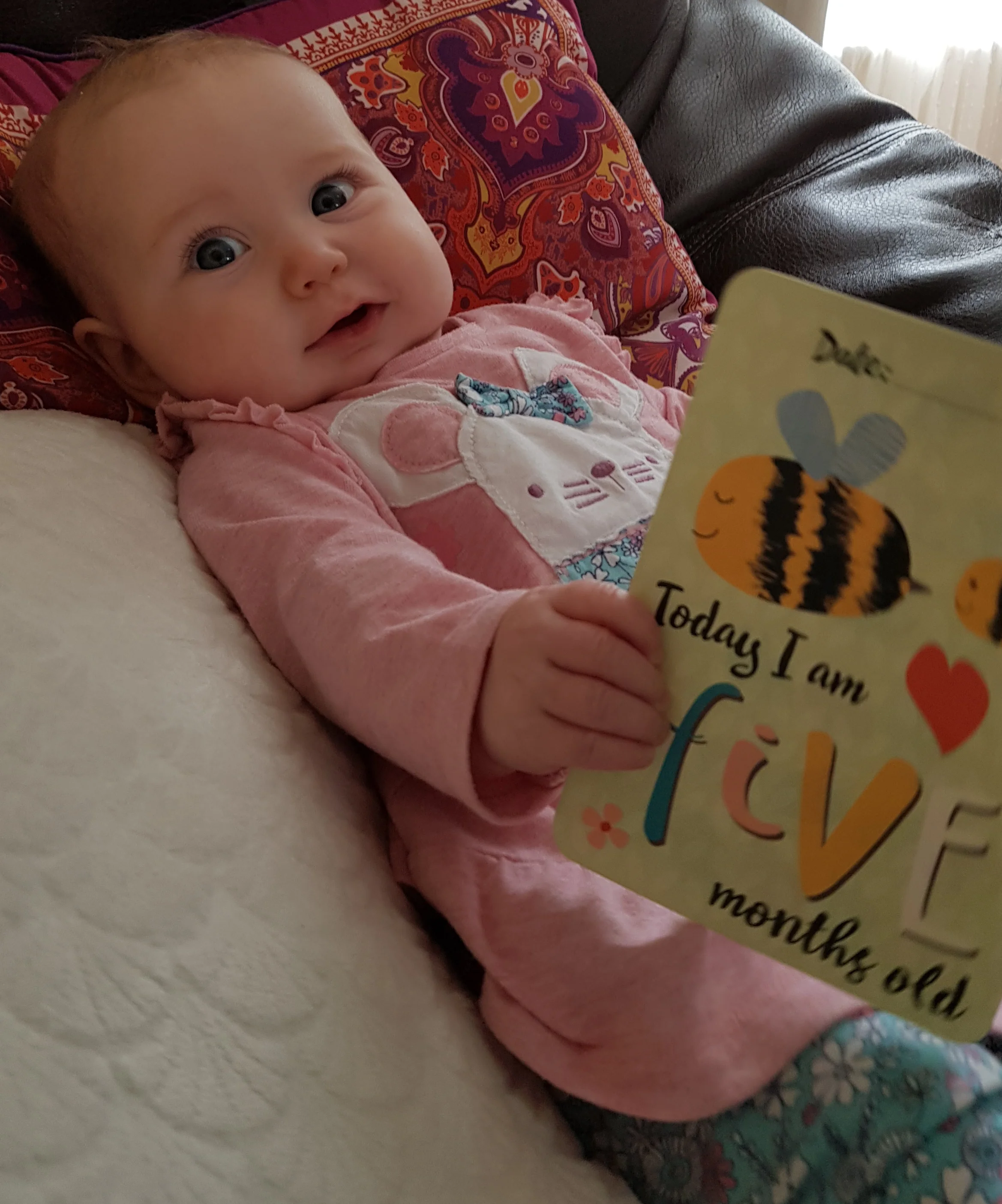 kayla 5 months.jpg