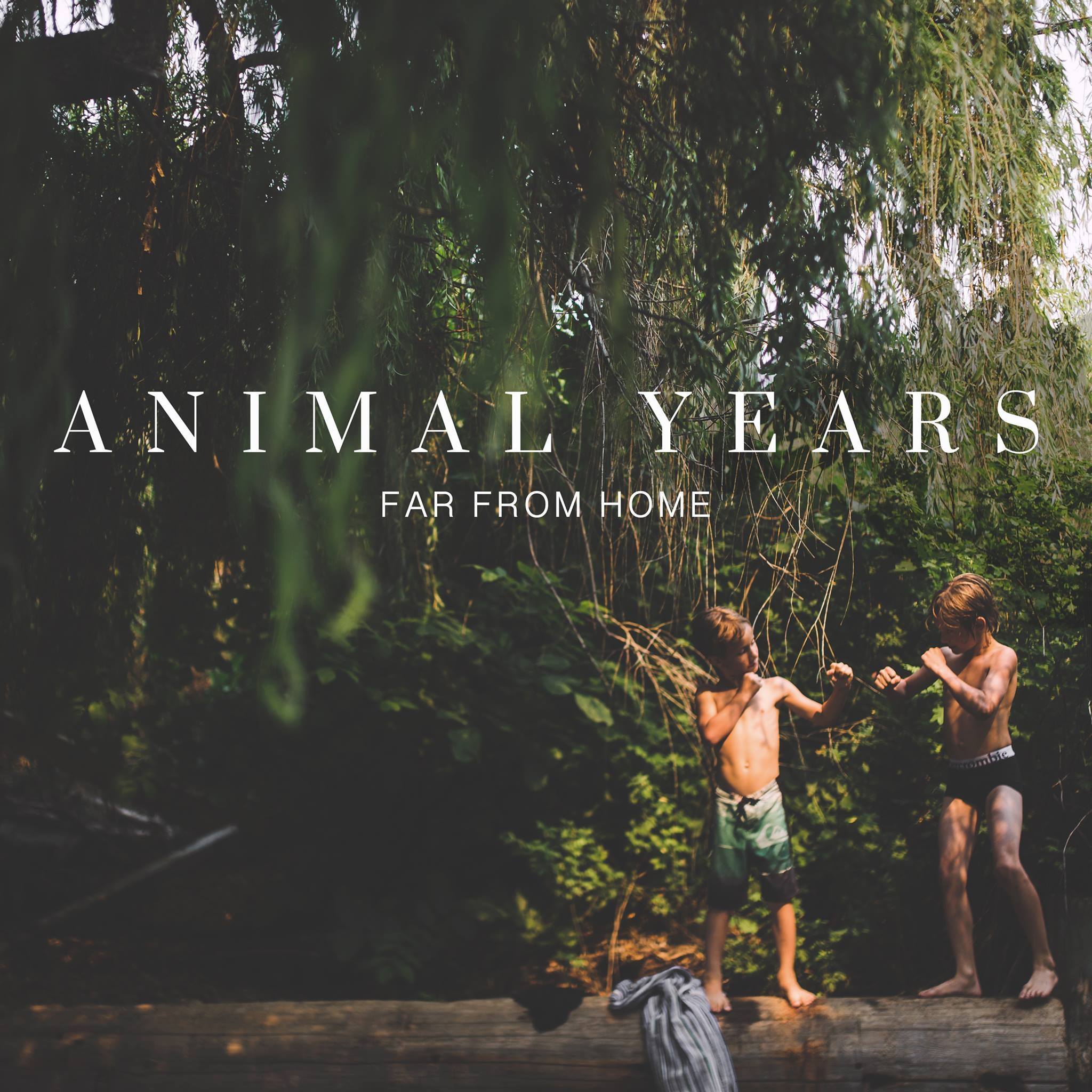Animal Years