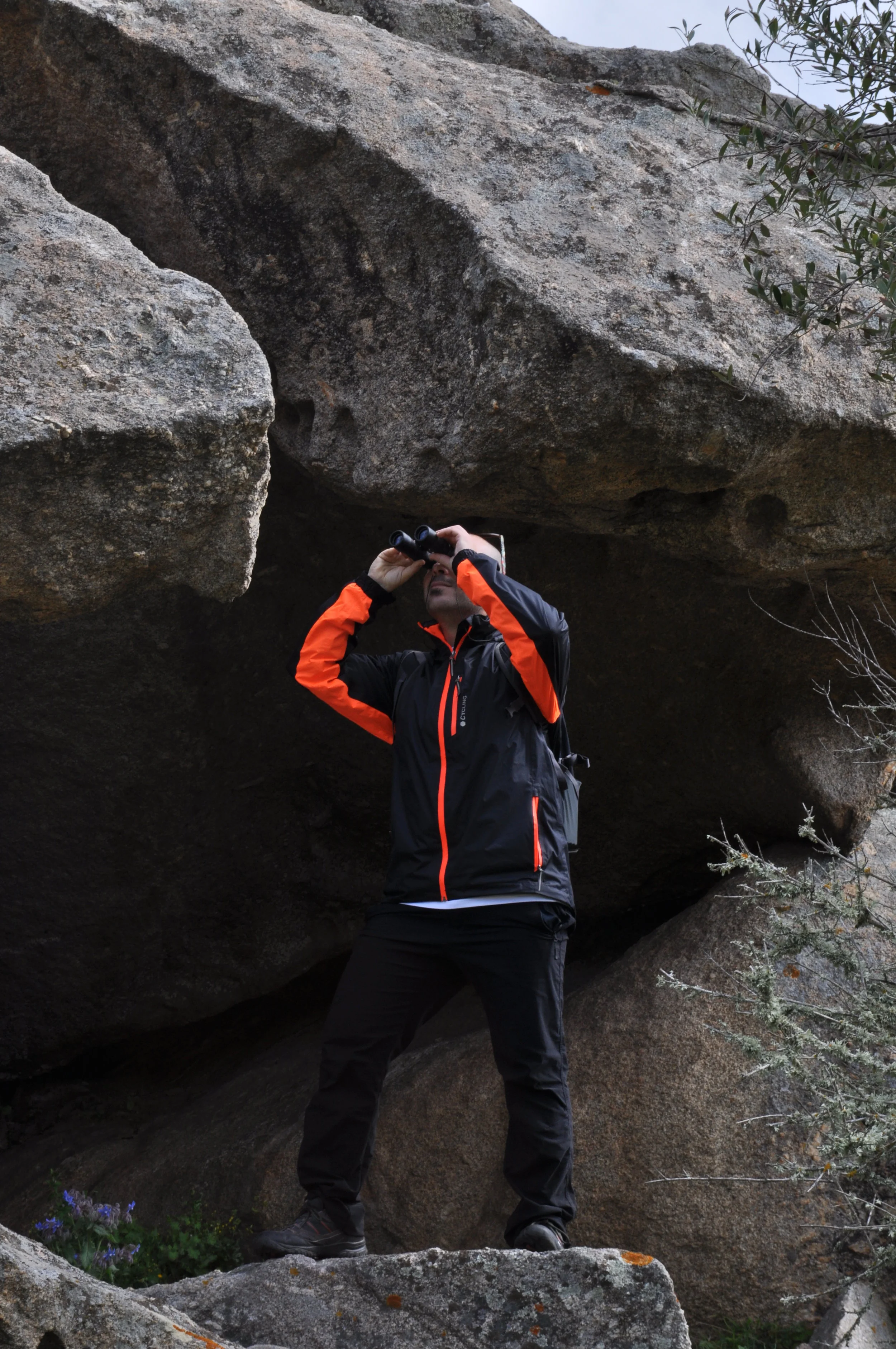 Naturalistic observation Asinara walking tour