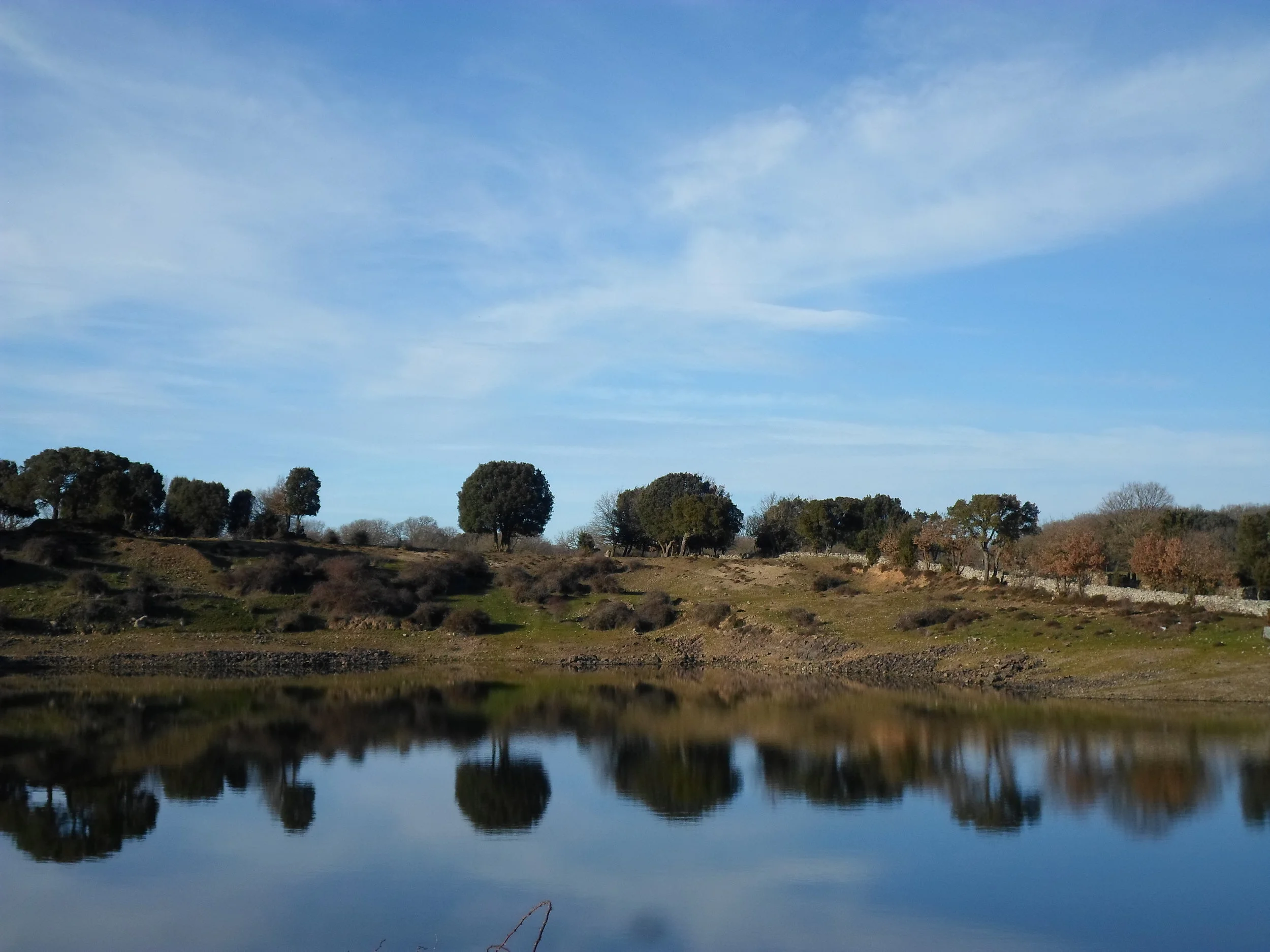 Hiking in Foresta Burgos