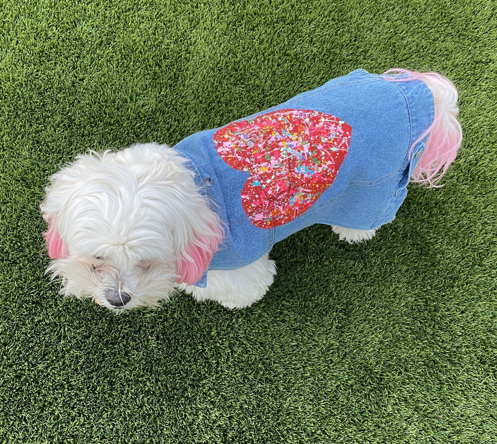 Levi's Denim Dog Vest w/ Paint Splatter Heart — The Sasha Project LA