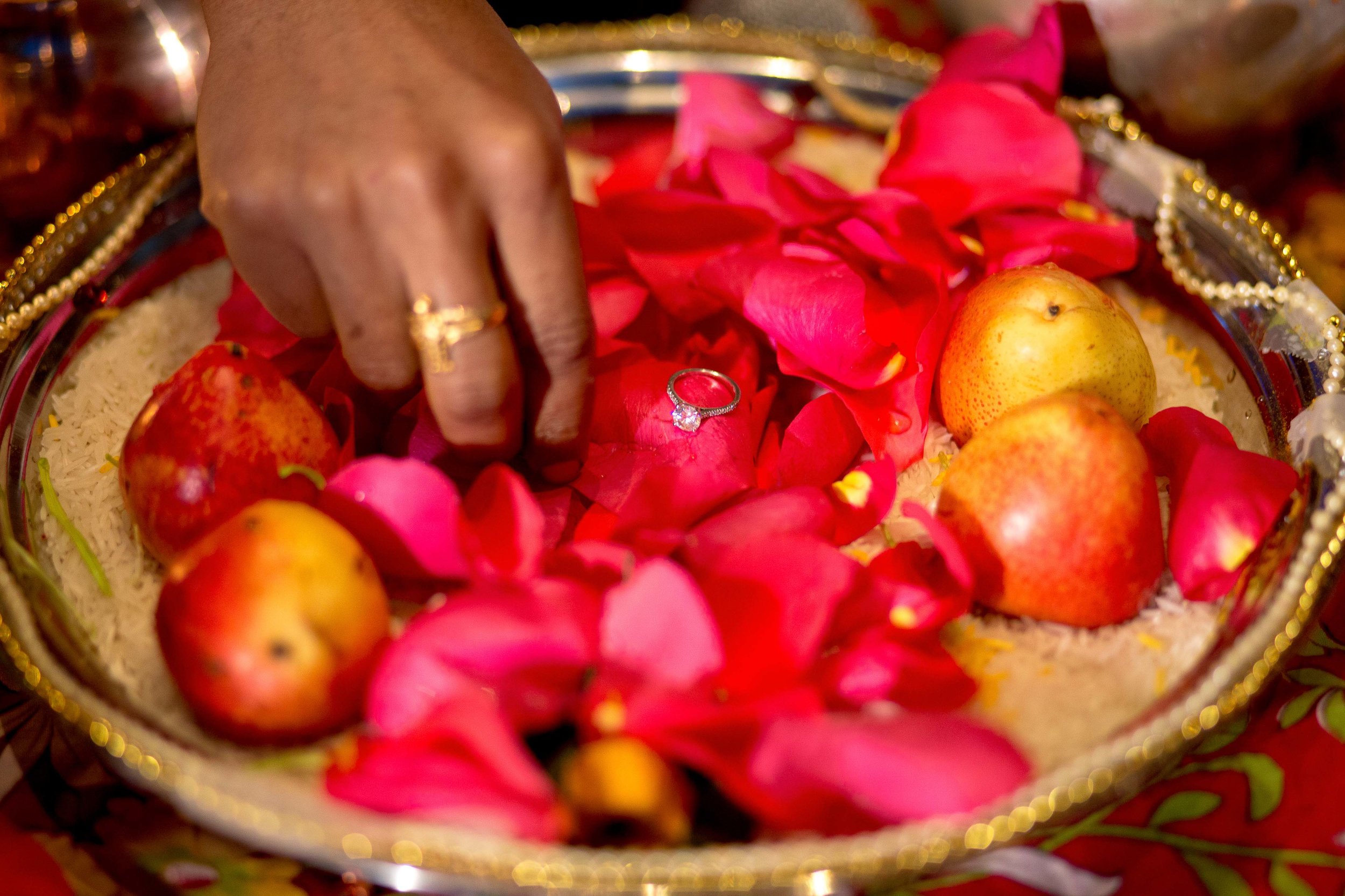 VV_Sangeet_BHD_5089s.jpg