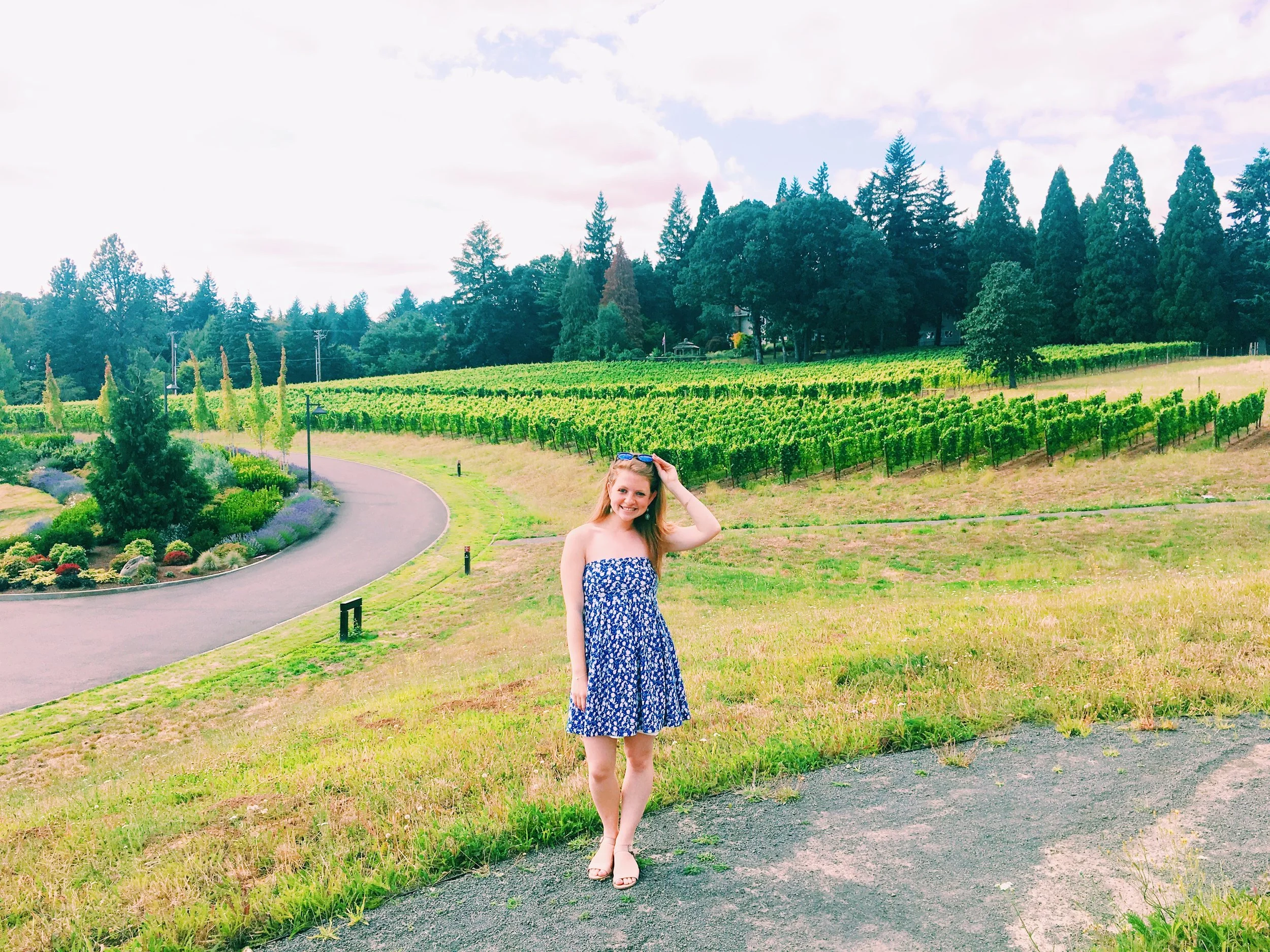 In Oregon, vineyards vineyards everywhere and not a drop to drink! 