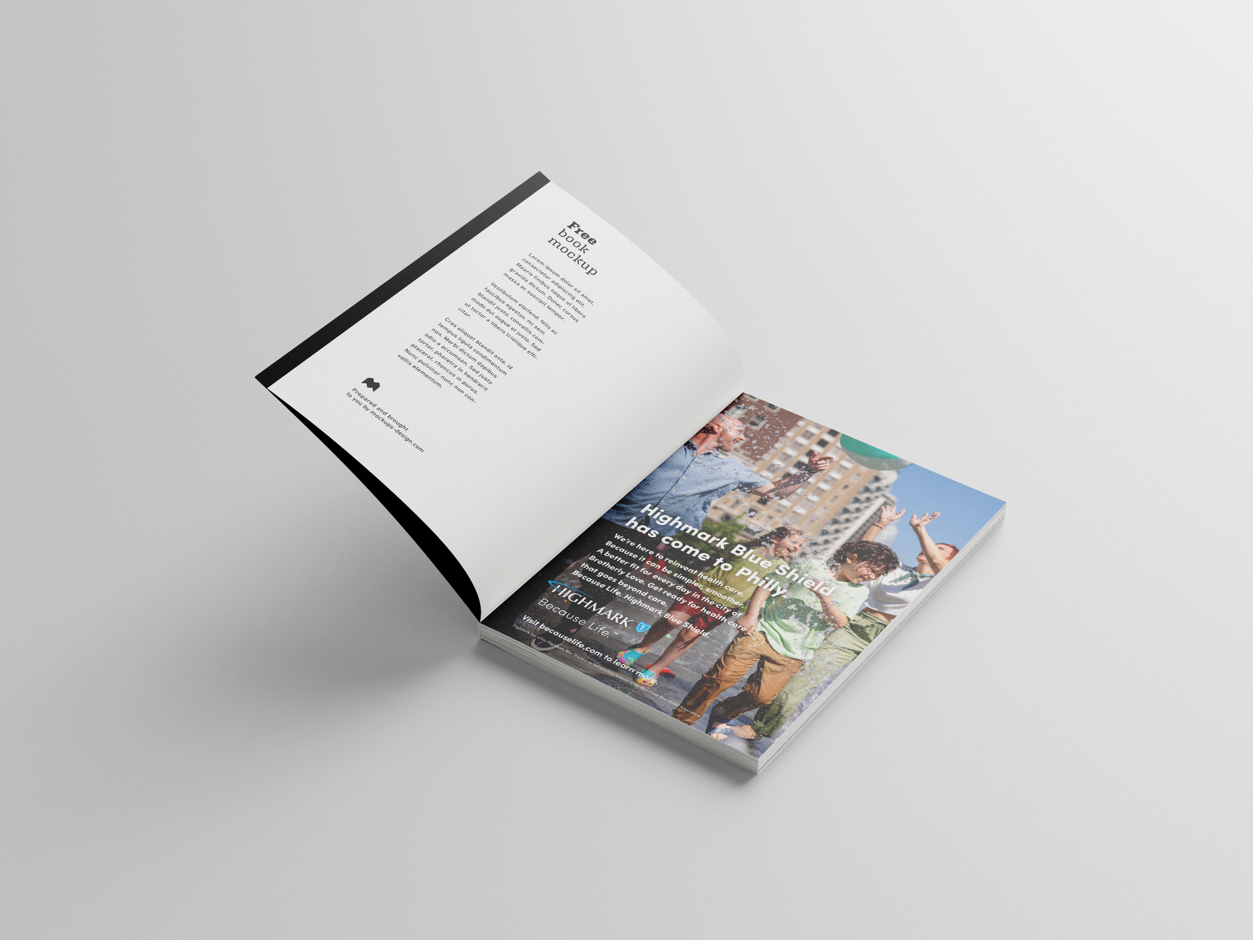 Free_Book_Mockup_3_SEPA ad 4 copy.png