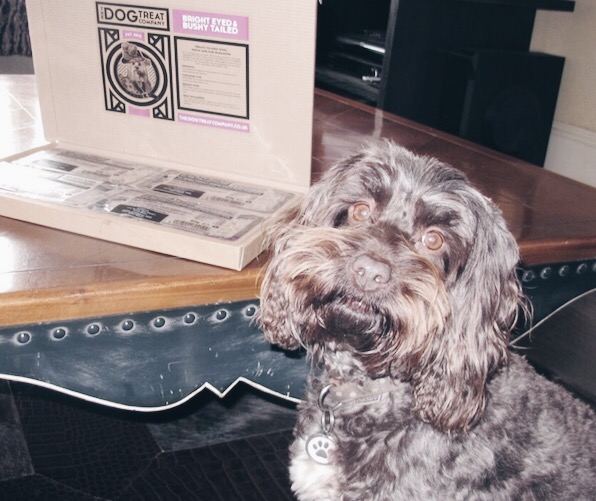 Partridge, proud as punch with her 'Beauty Box' of healthy treats. 