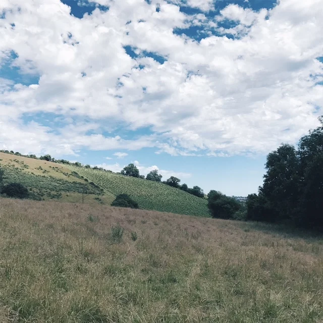 vsco-photo-2.jpg