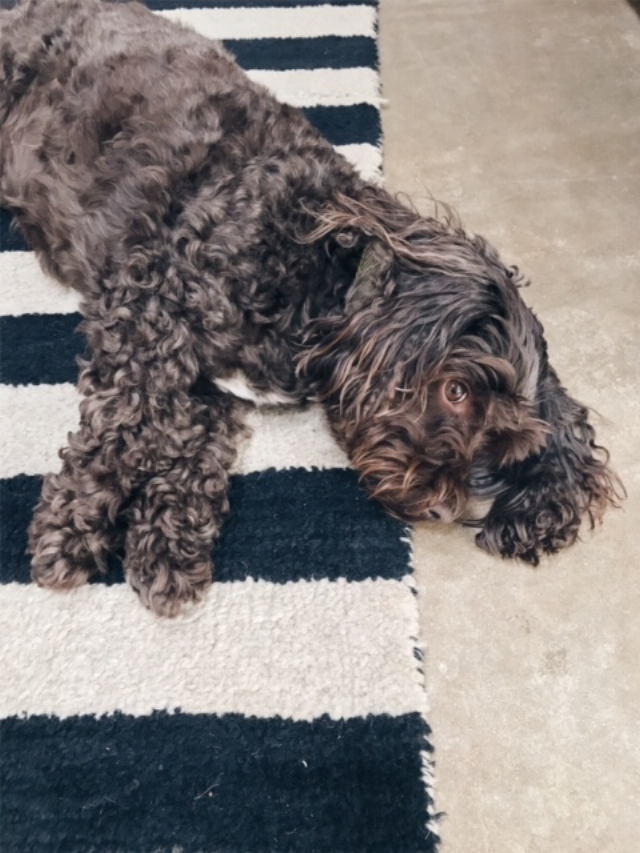 Relaxing at ANRAN House, Devon