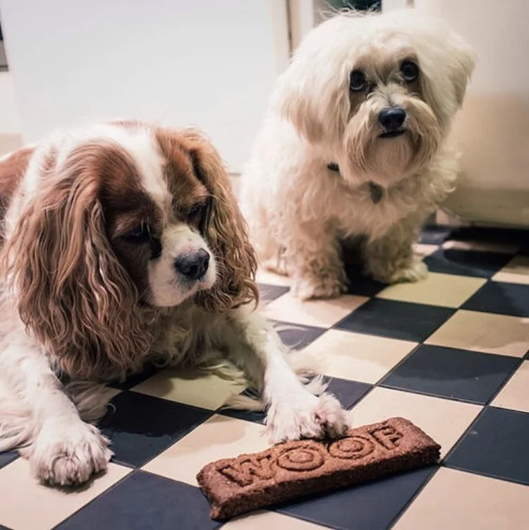 Vicky's products come with a paw of approval from Harvey and Ralph, her own four legged friends. 