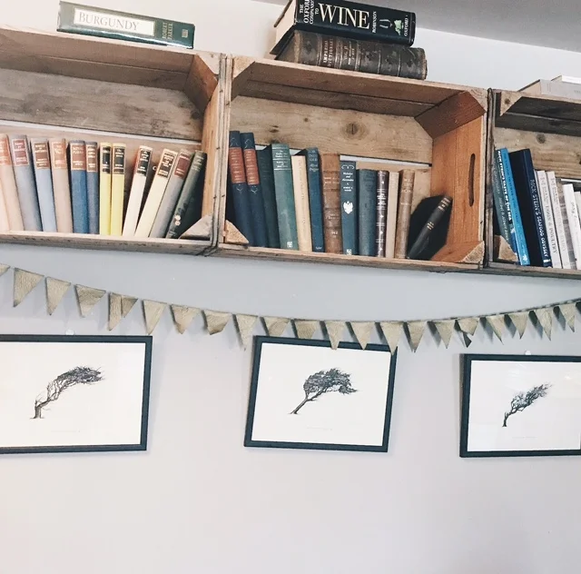 Bookshelf.jpg