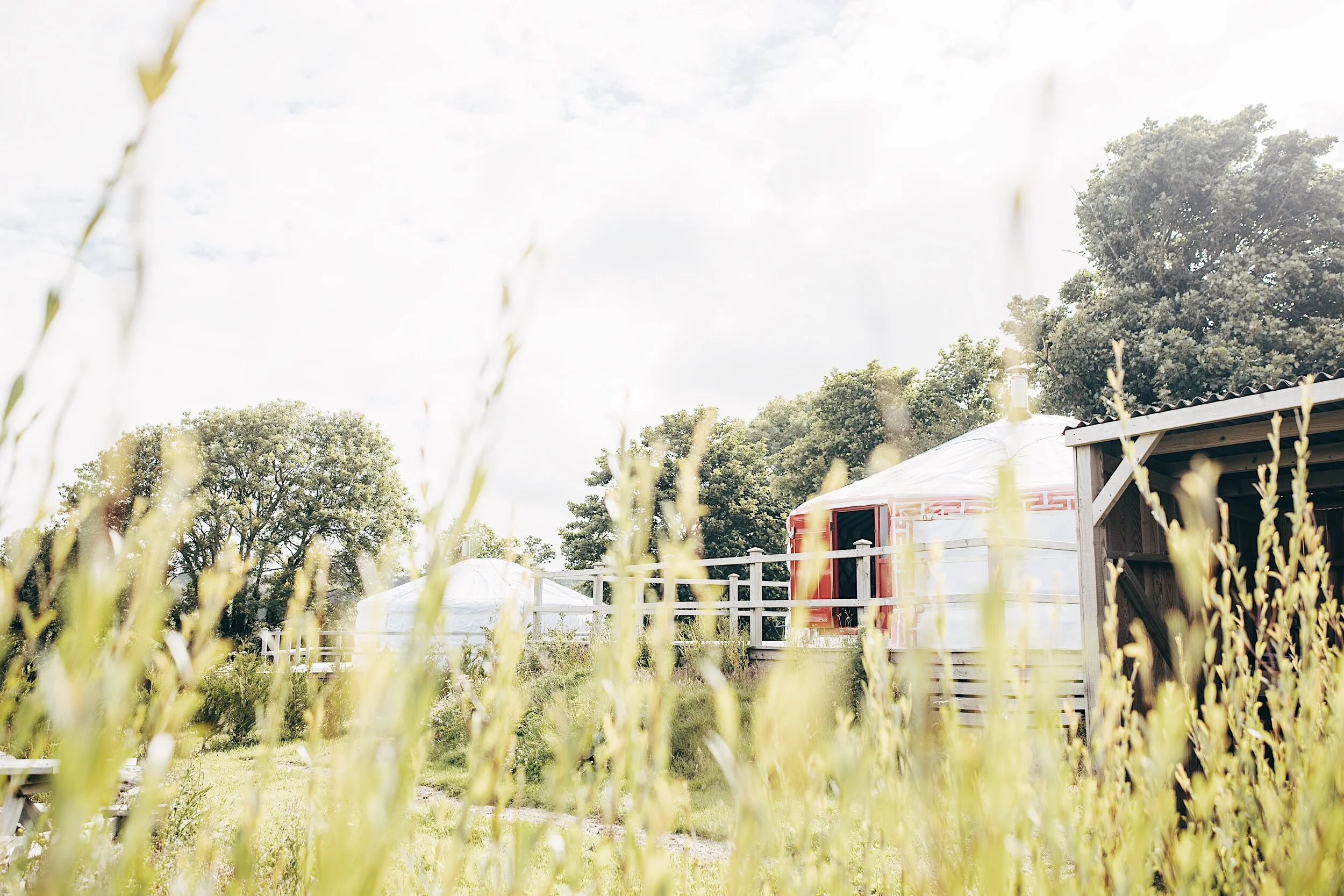 REAL GLAMPING - RESTORATIVE ESCAPE AT THE FIR HILL ESTATE, CORNWALL 