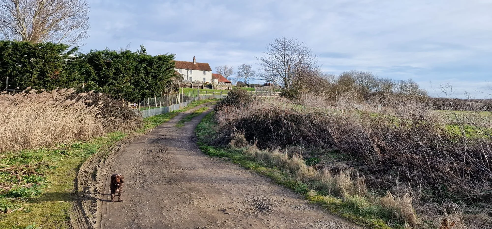 AN OUT-OF-SEASON ESCAPE TO KENT AND EAST SUSSEX - VOLUME I