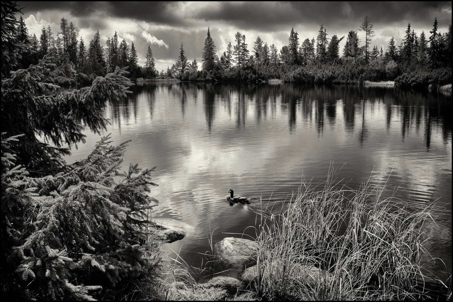 Jamské pleso | Vysoké Tatry, 2016
