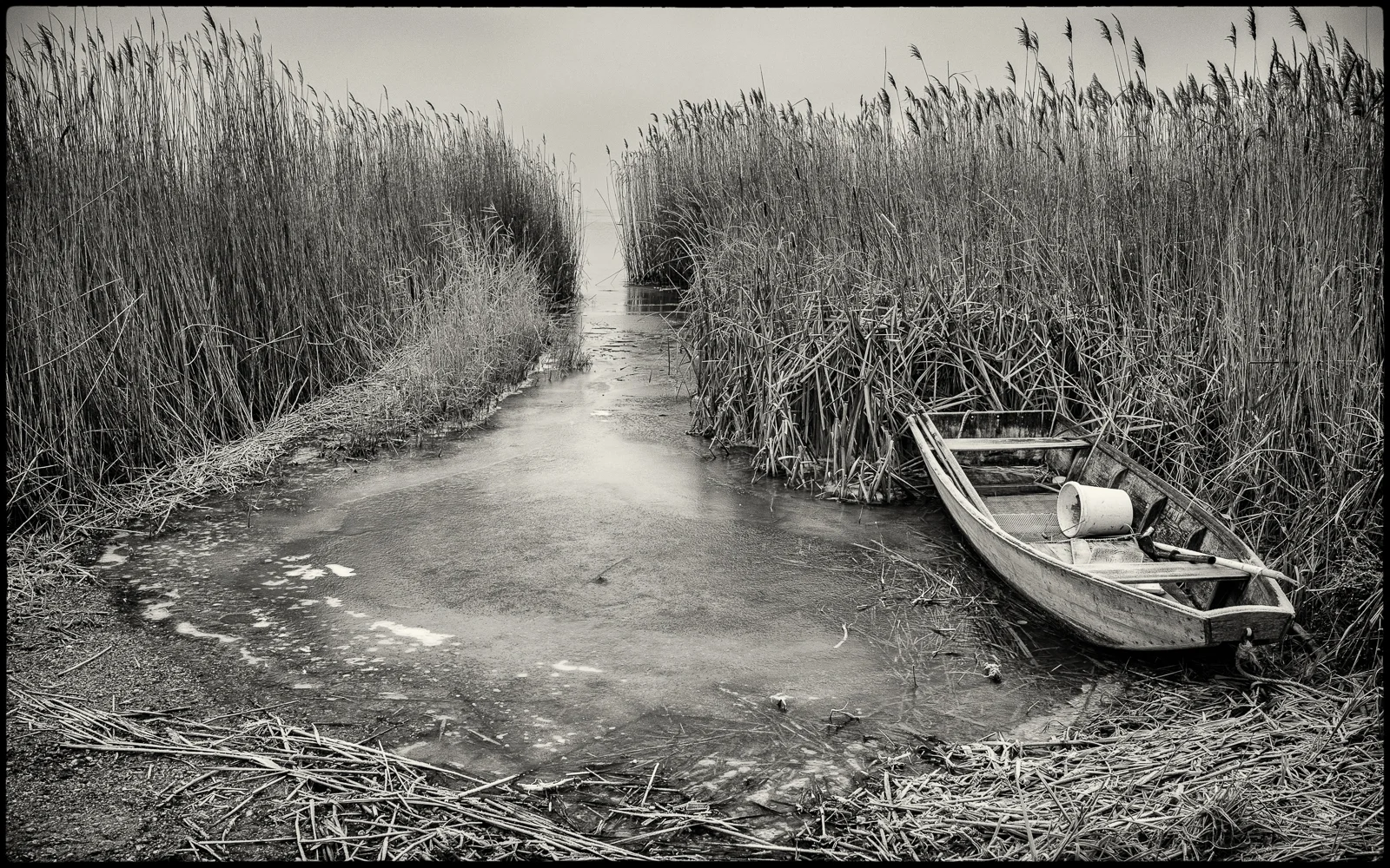 Neusiedler See | 2016