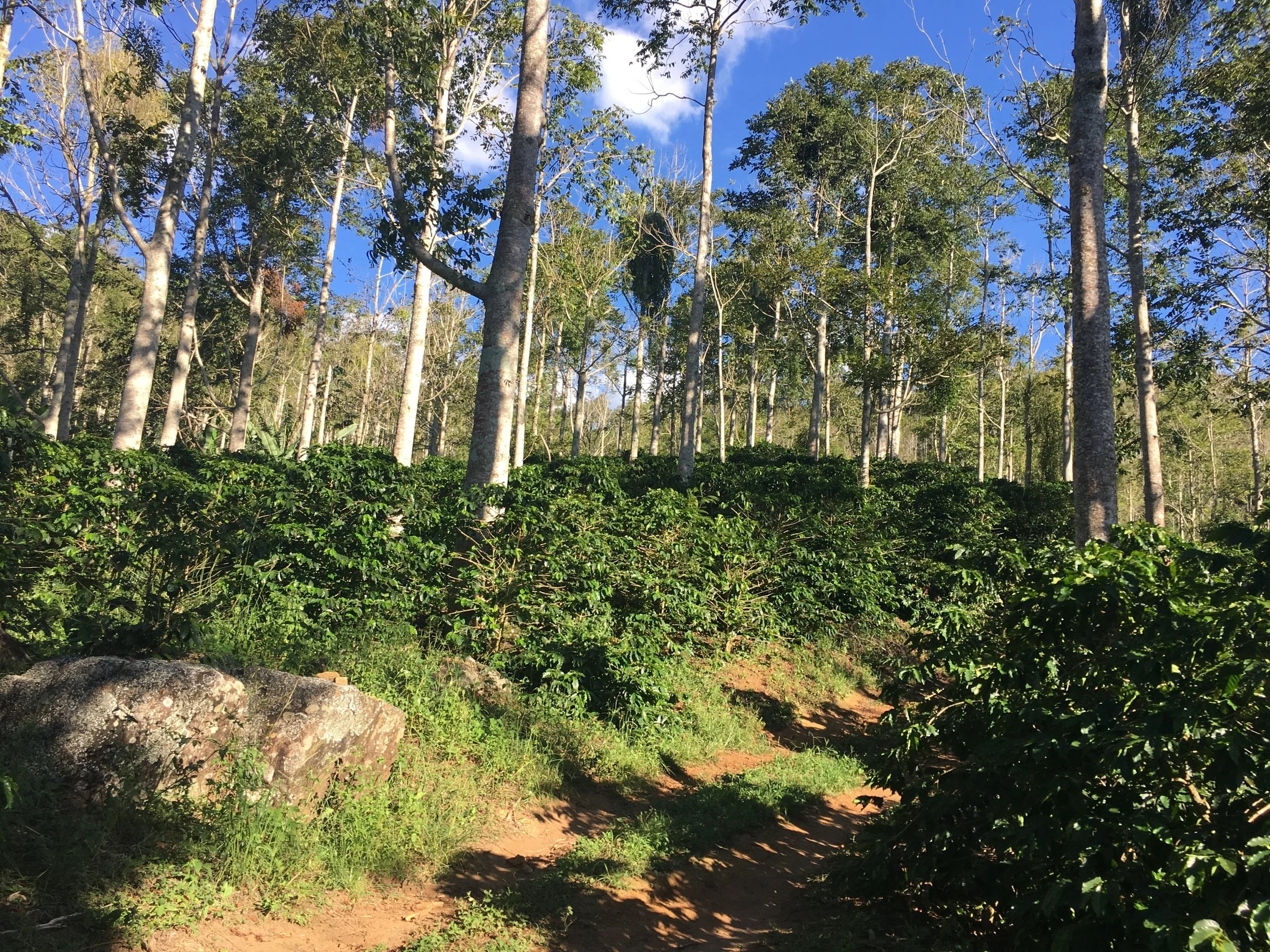 sitio.jpg