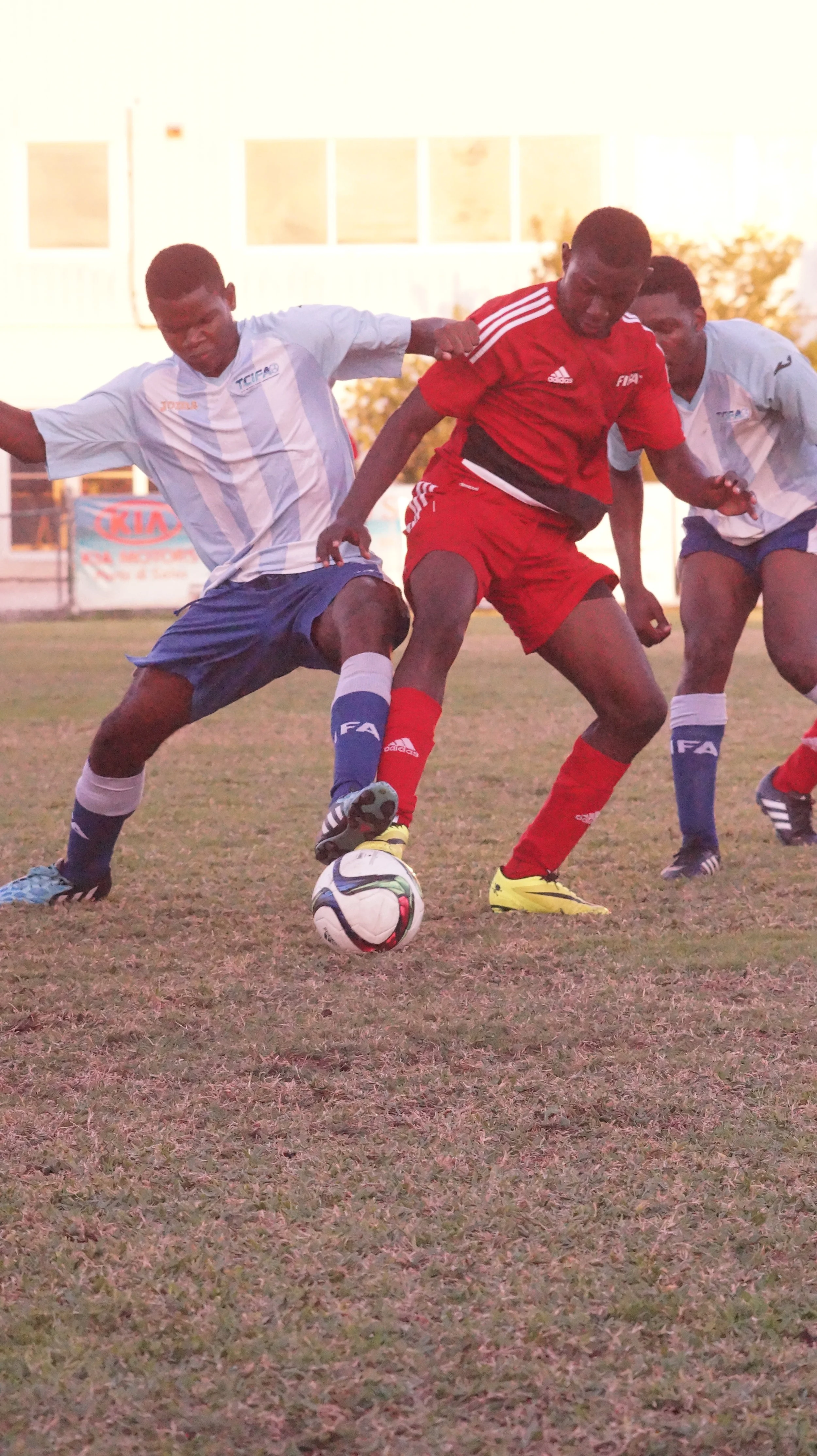 2017 Fall Showcase and Identification Camp