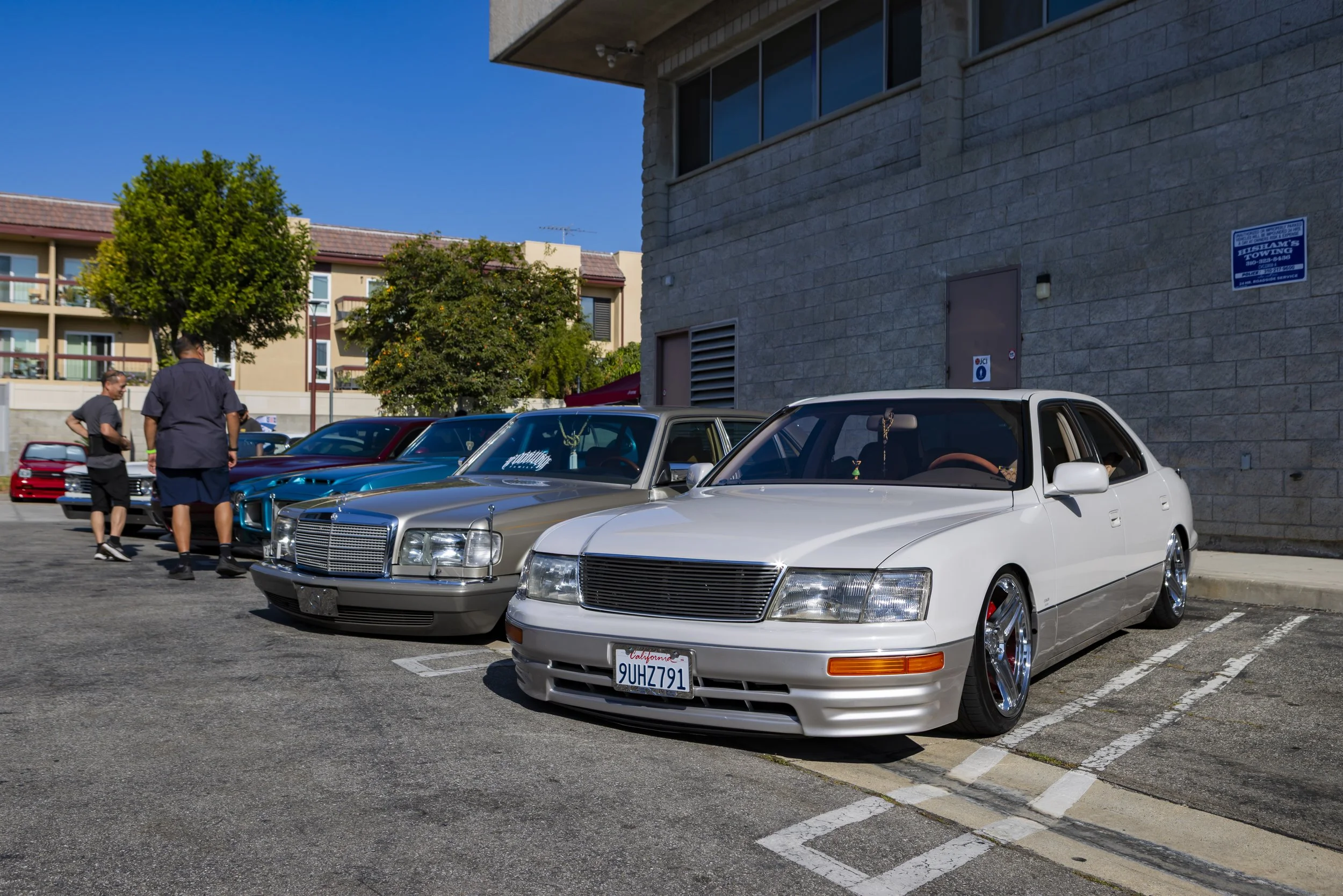 D82A1250.jpg
