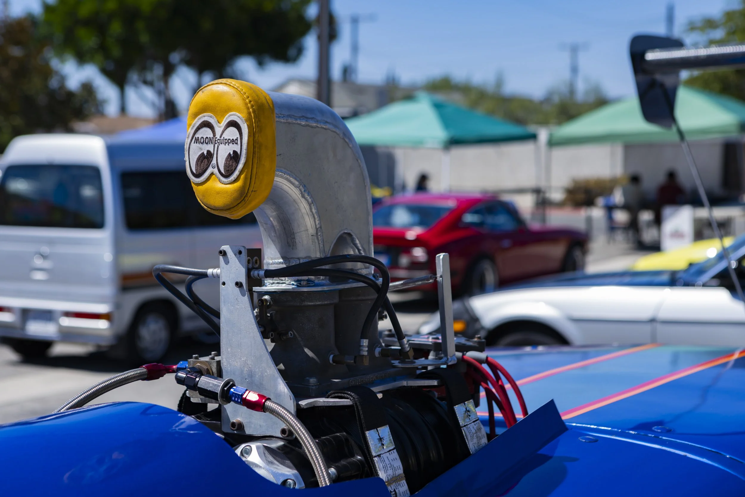 D82A1452.jpg