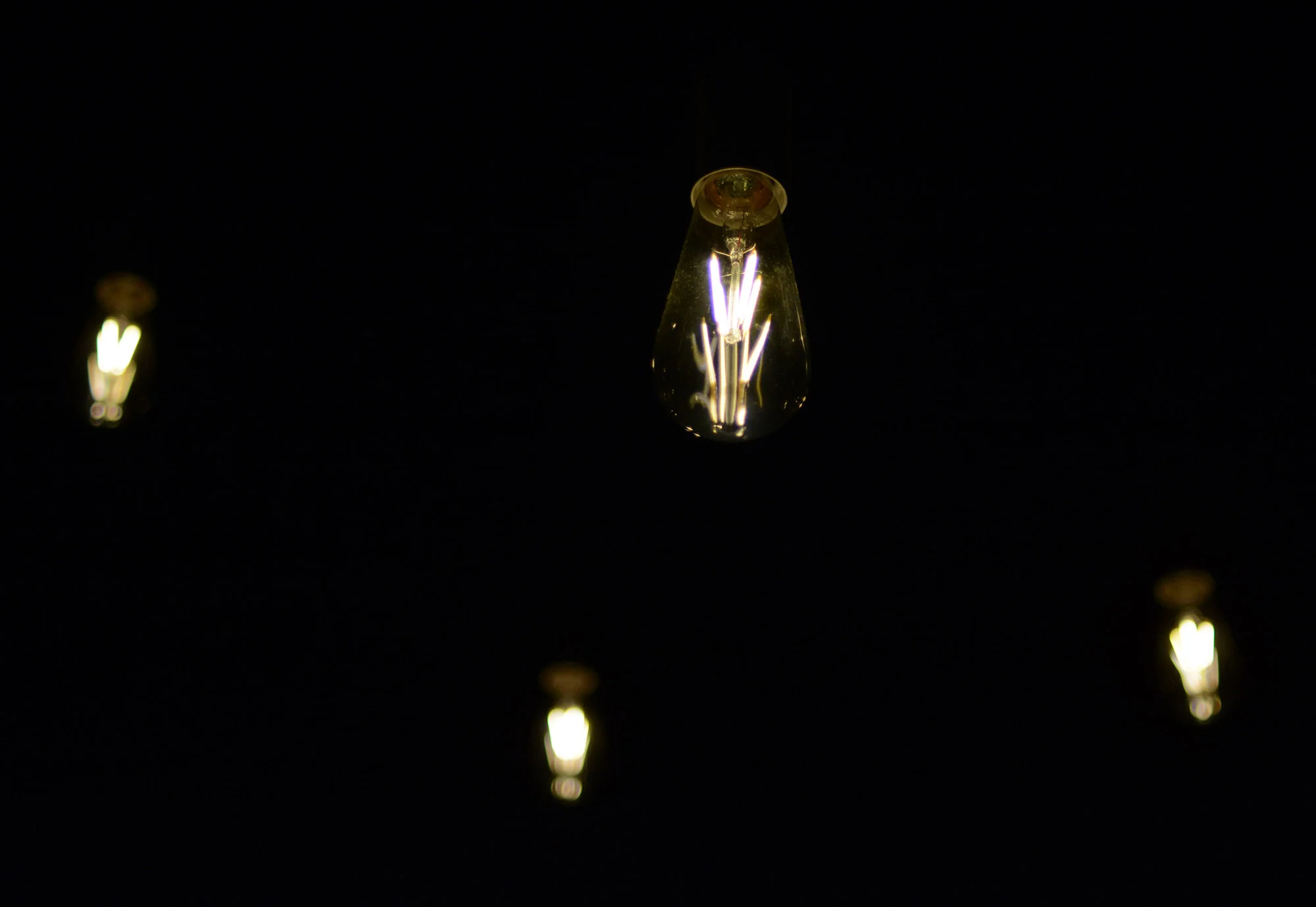 DSC_0365.jpg