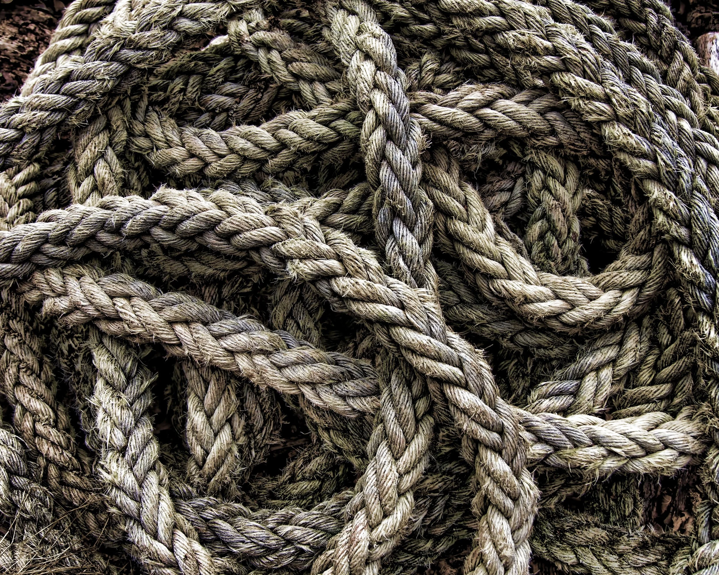 0-ikoef3ukw-tim-boote.jpg