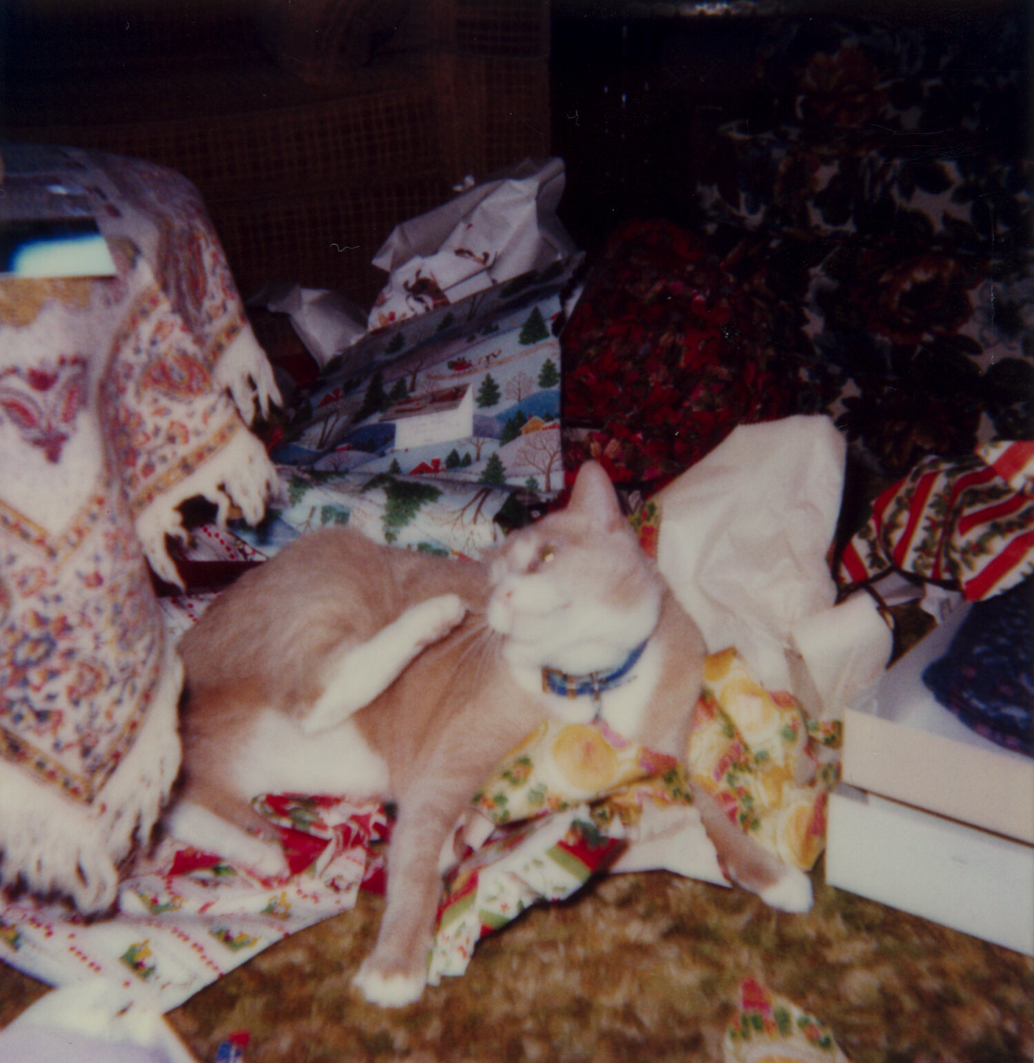 19841225 Christmas Polaroid - Tulsa OK - 04 - Harry.jpg