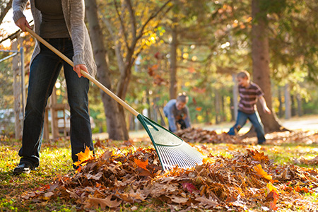Rake the Town