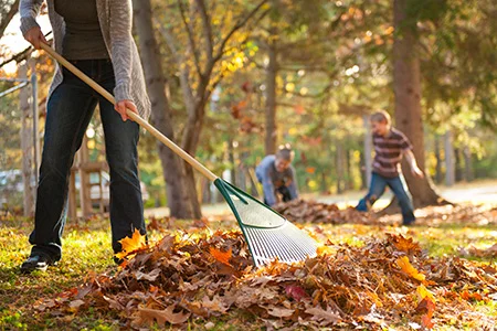 Rake the Town