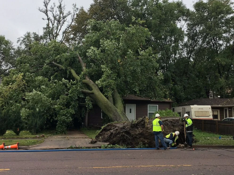 Storm Cleanup
