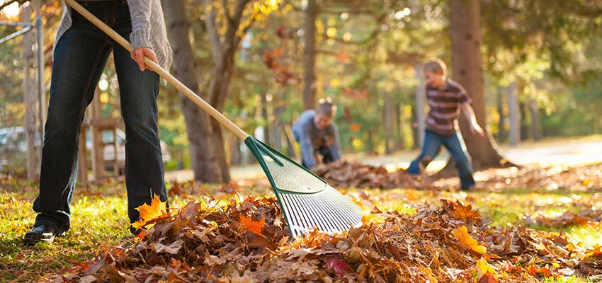 Rake the Town