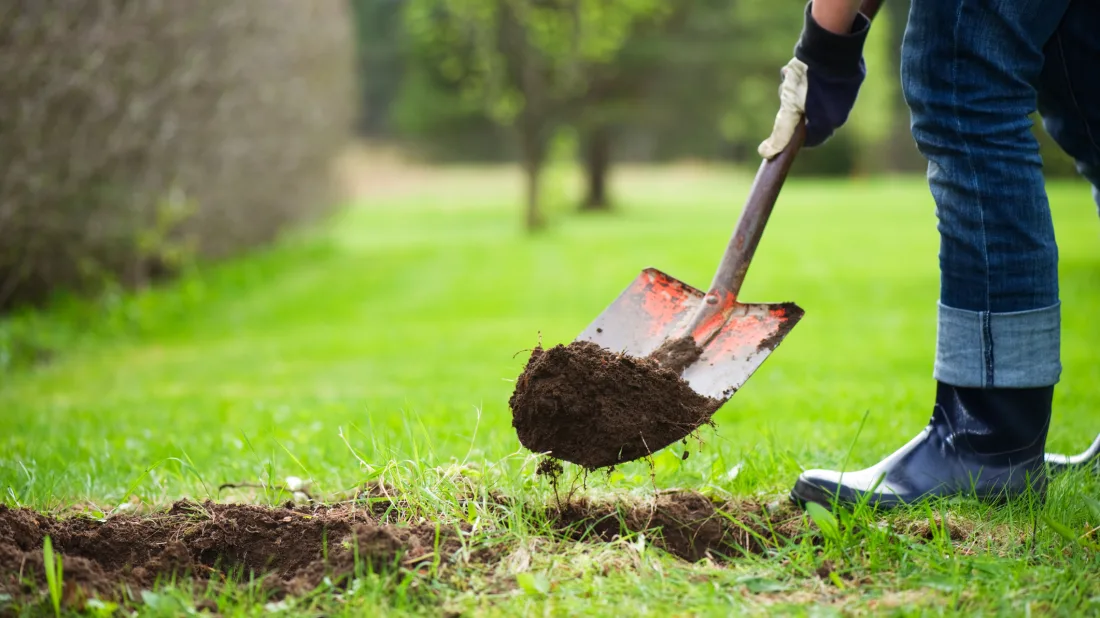 The Big Dig
