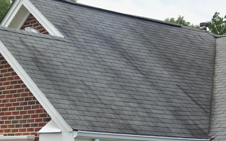 Roof-Stains-Streaks.jpg