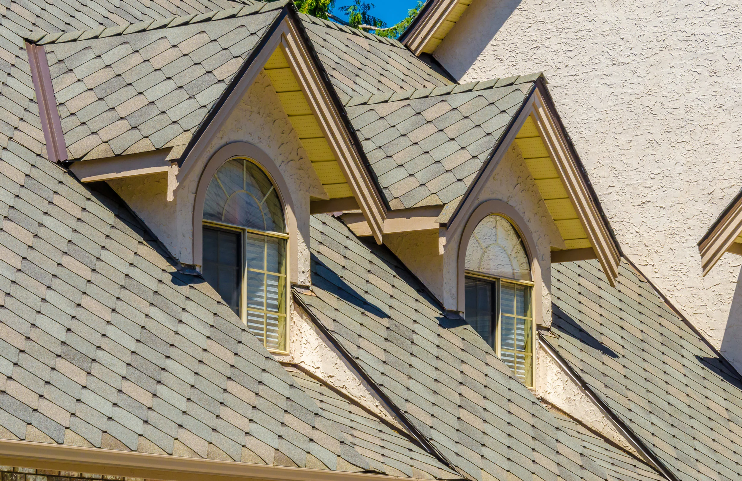 Designer-Shingles.jpg